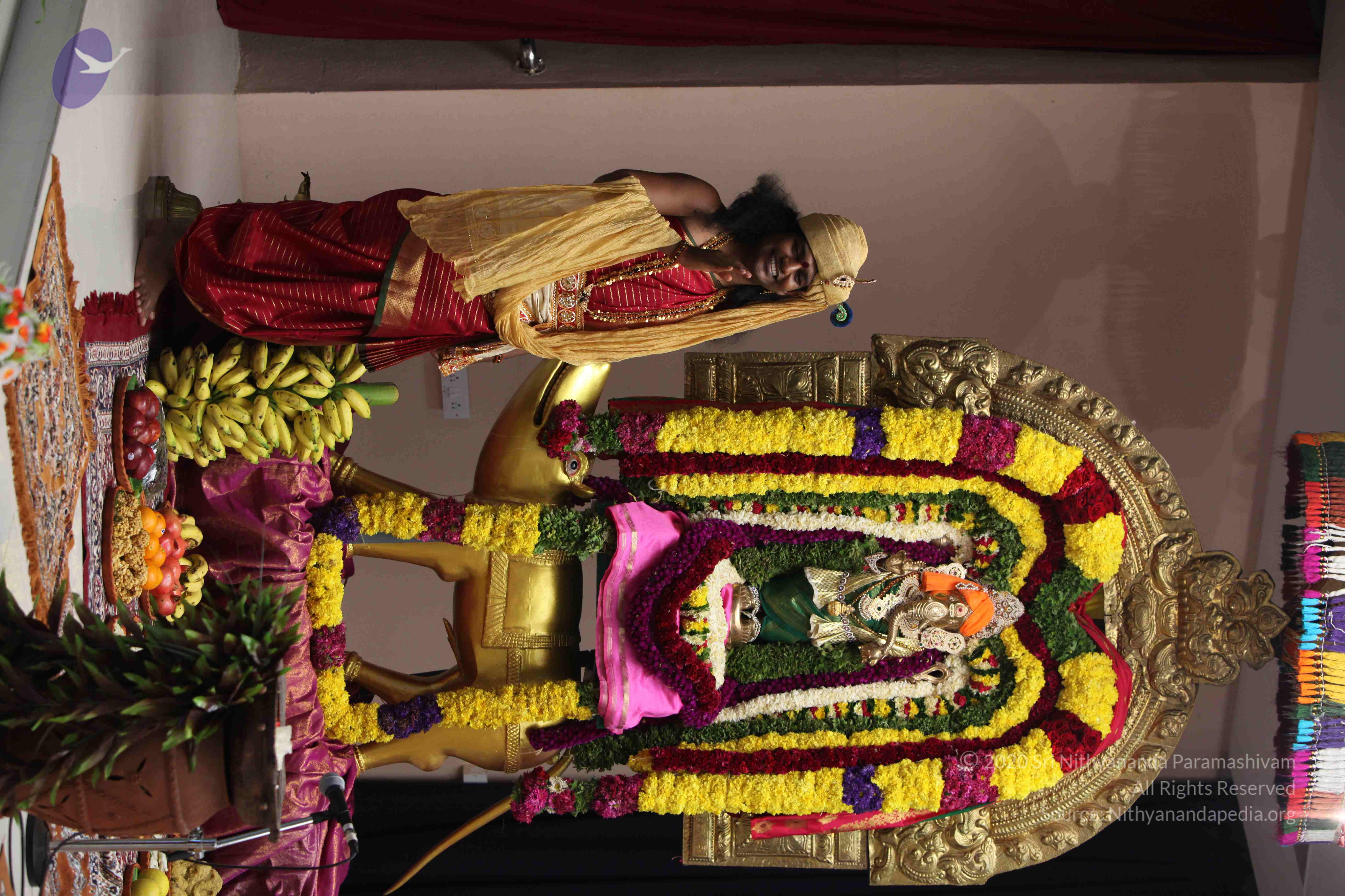 20110901_Photo_1033_IMG_2537_CMP_WM