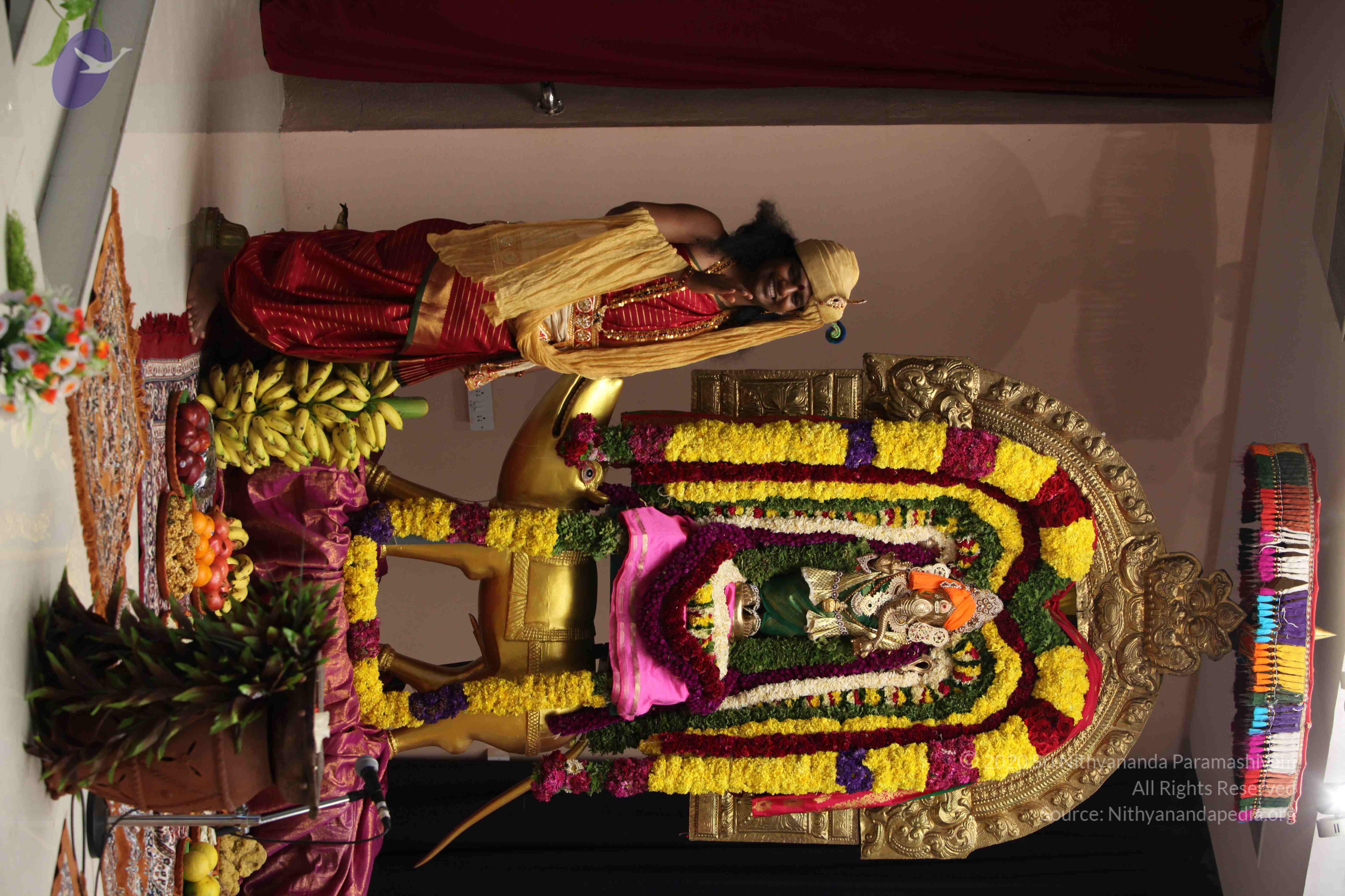 20110901_Photo_1039_IMG_2538_CMP_WM