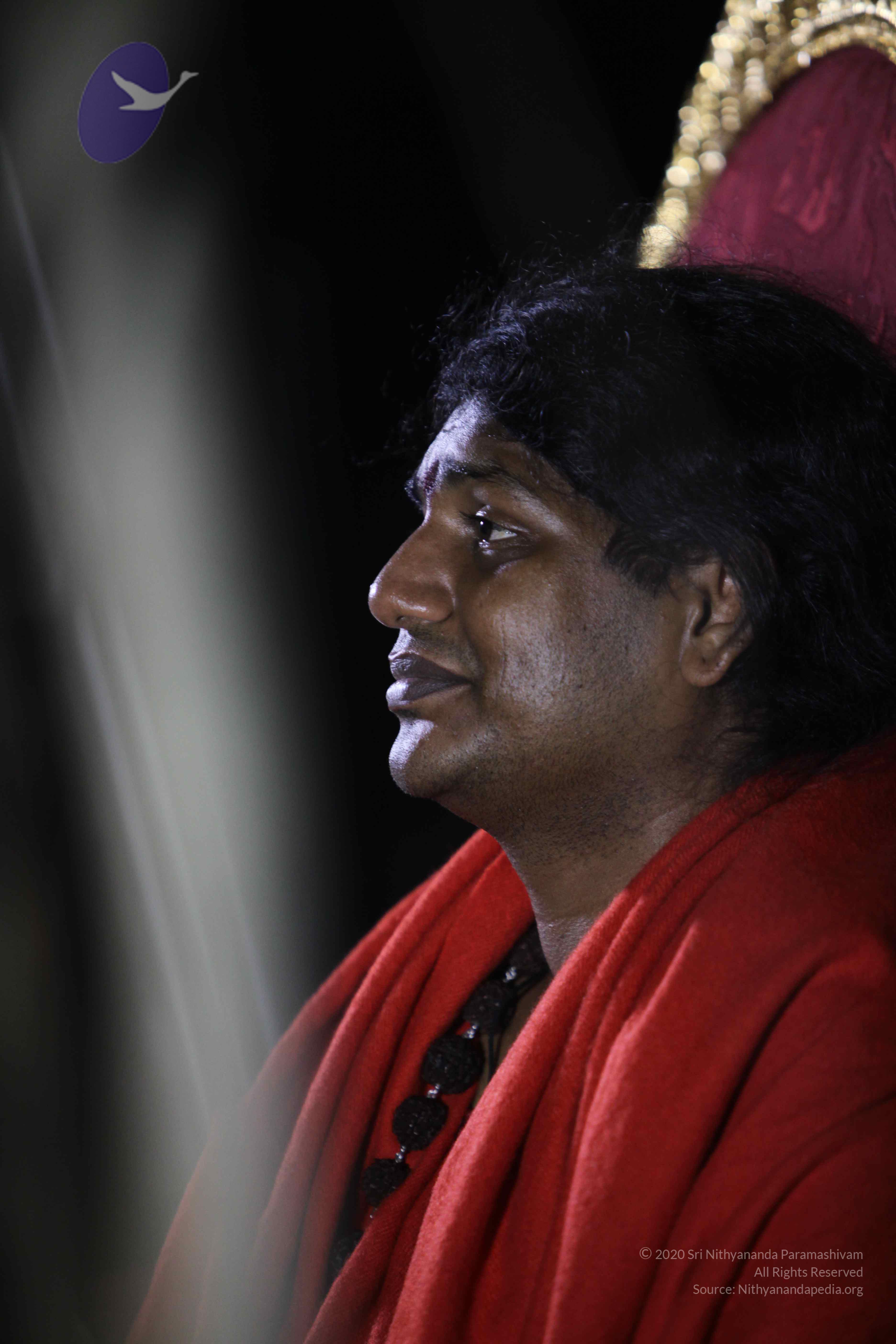 20110901_Photo_1002_IMG_0166_CMP_WM