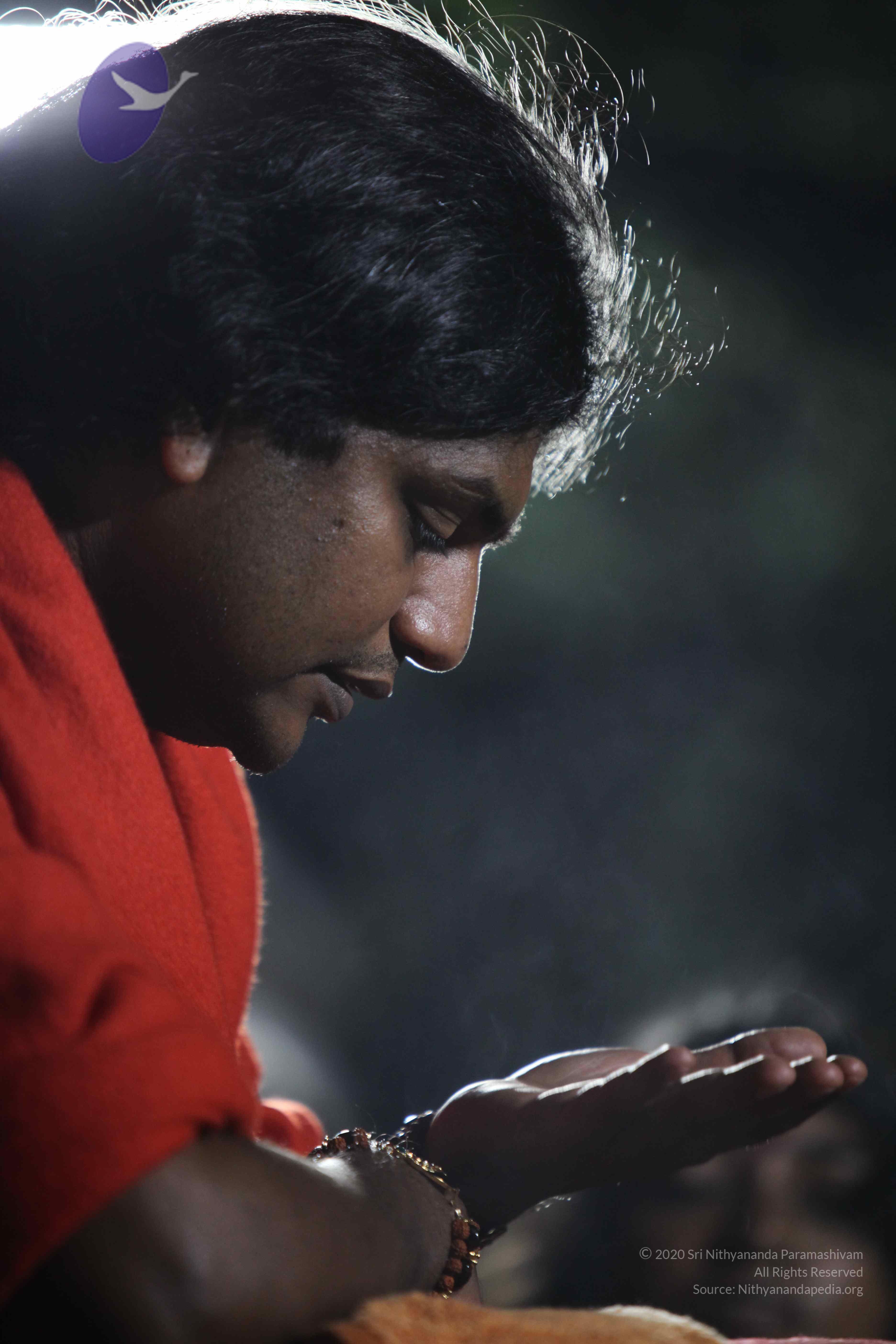 20110901_Photo_1003_IMG_0199_CMP_WM