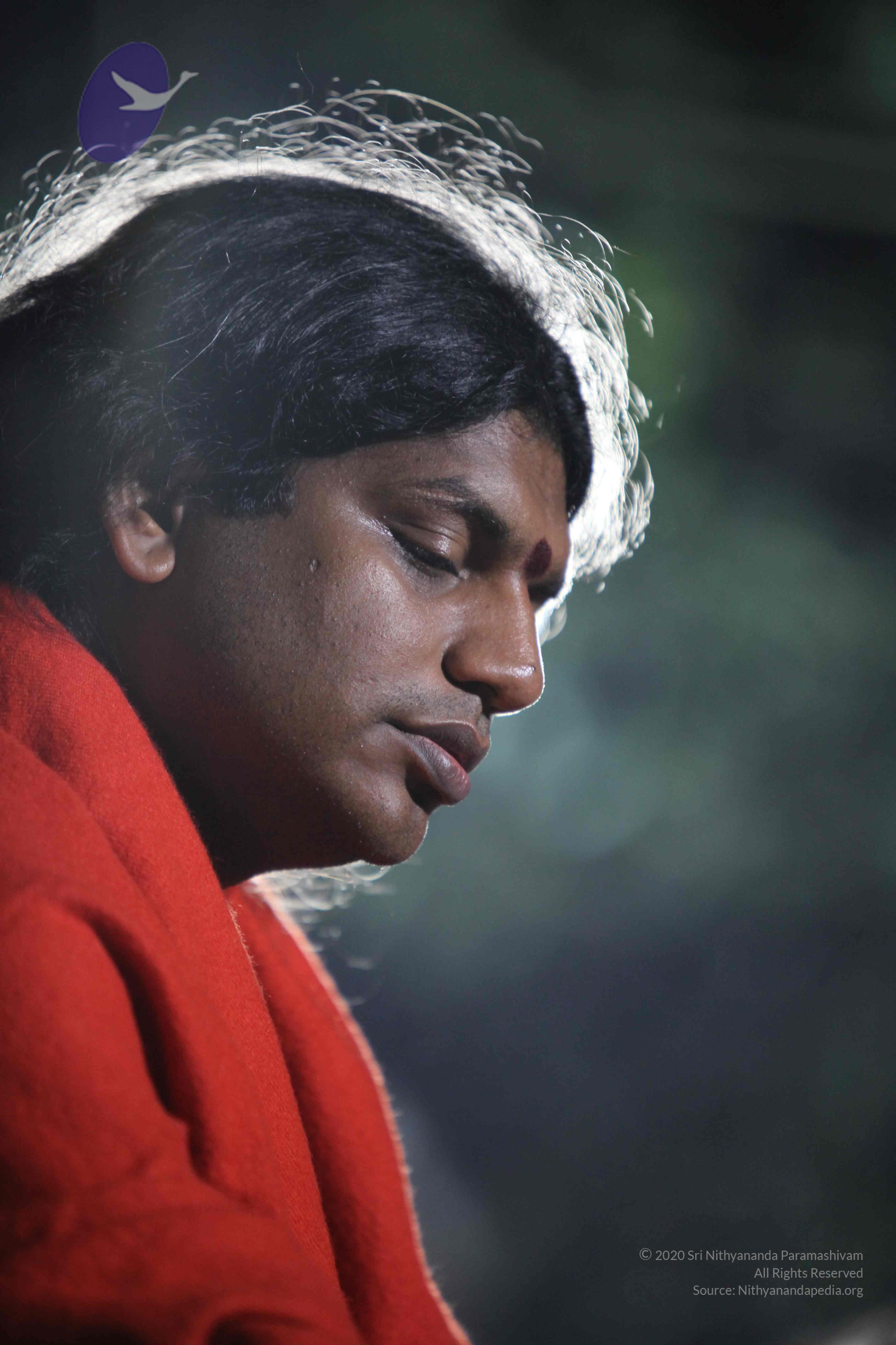 20110901_Photo_1005_IMG_0200_CMP_WM