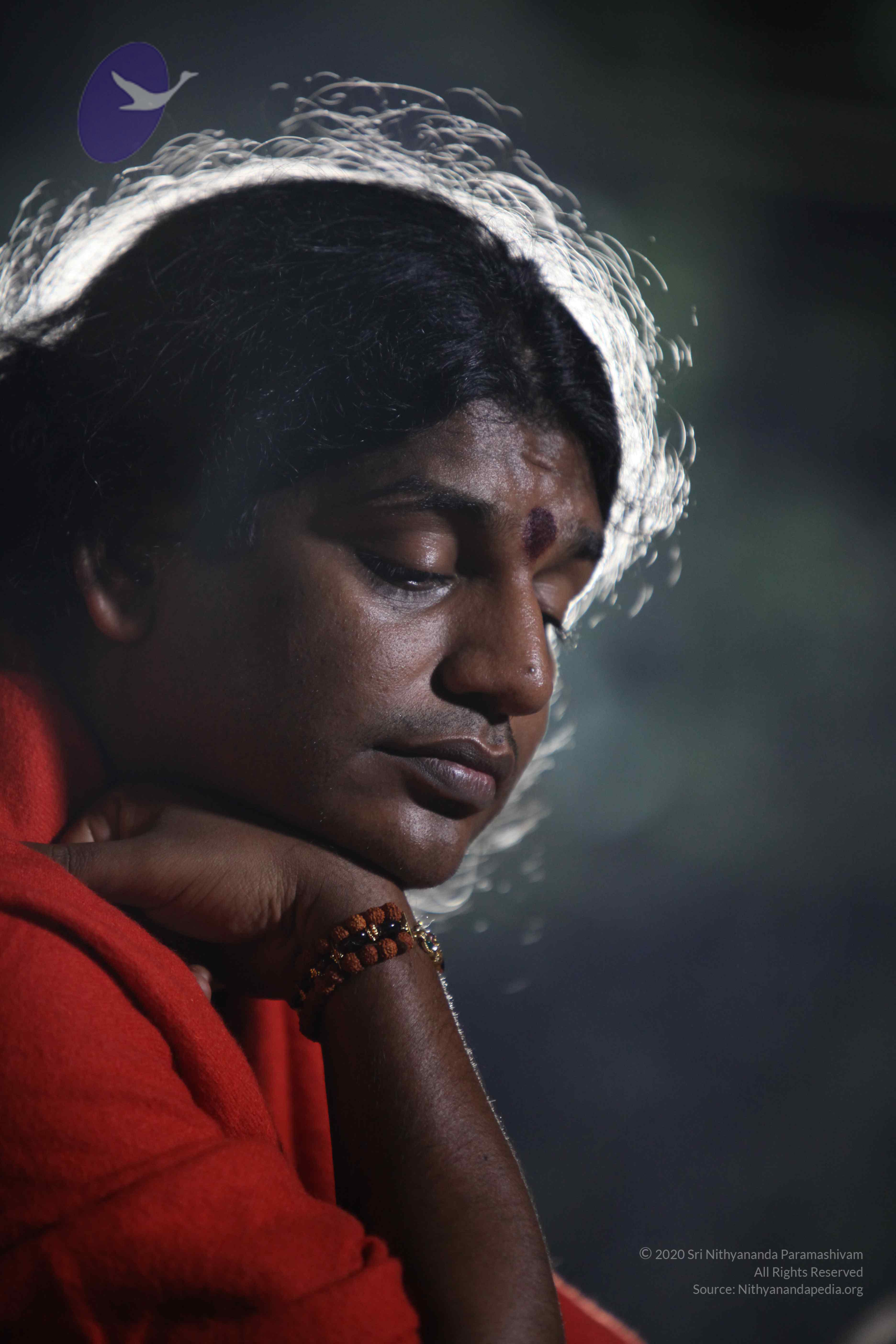 20110901_Photo_1008_IMG_0203_CMP_WM