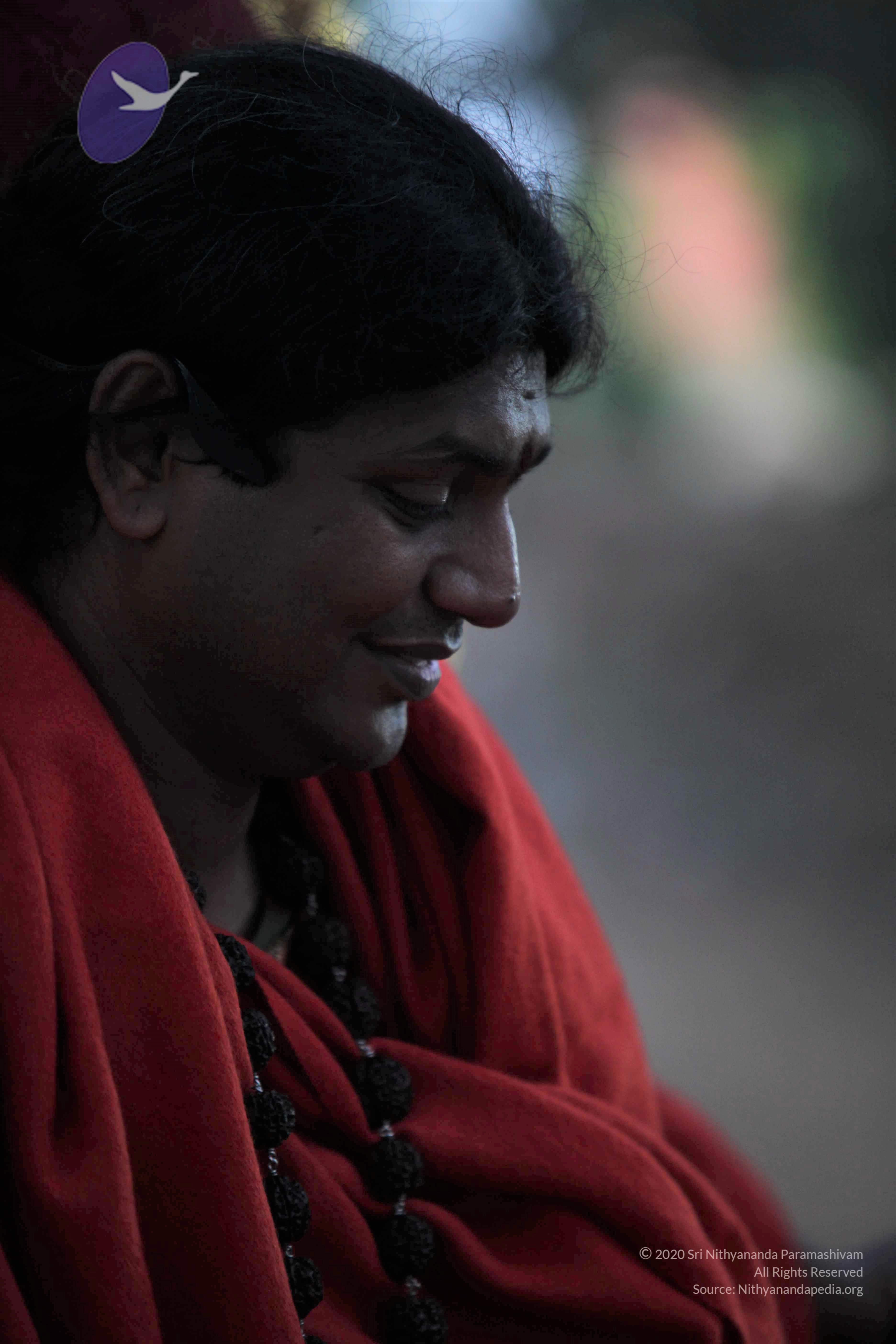 20110901_Photo_1010_IMG_0095_CMP_WM