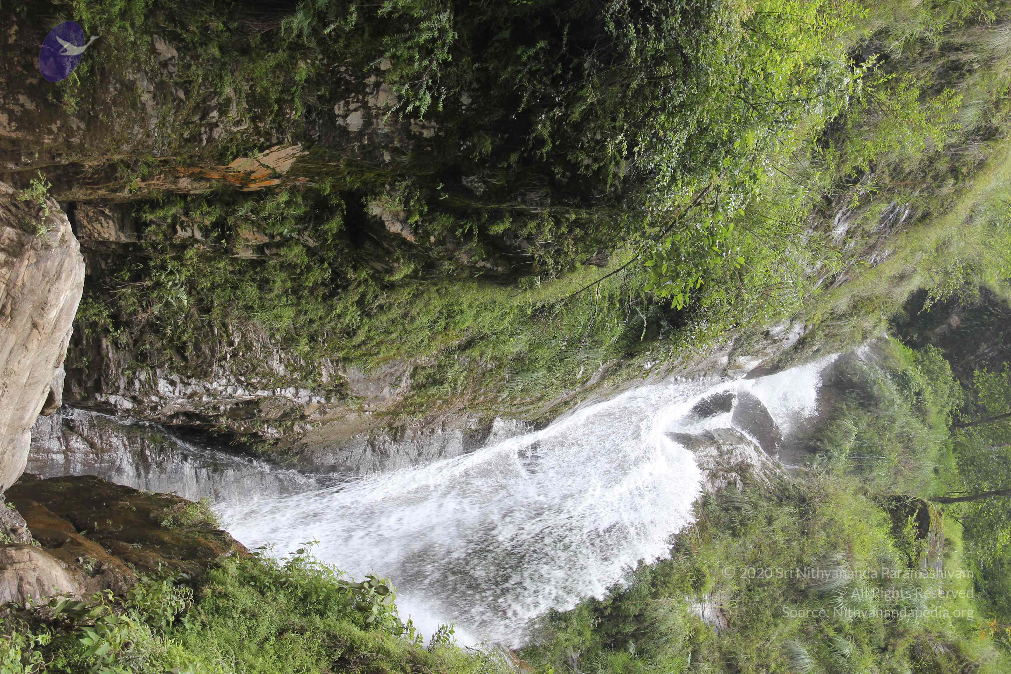 20110901_Photo_1021_IMG_2394_CMP_WM