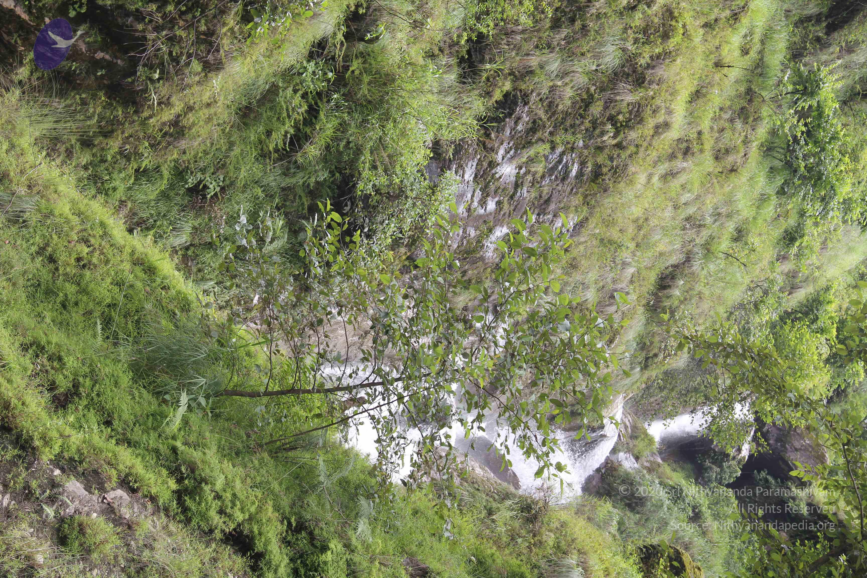 20110901_Photo_1037_IMG_2391_CMP_WM