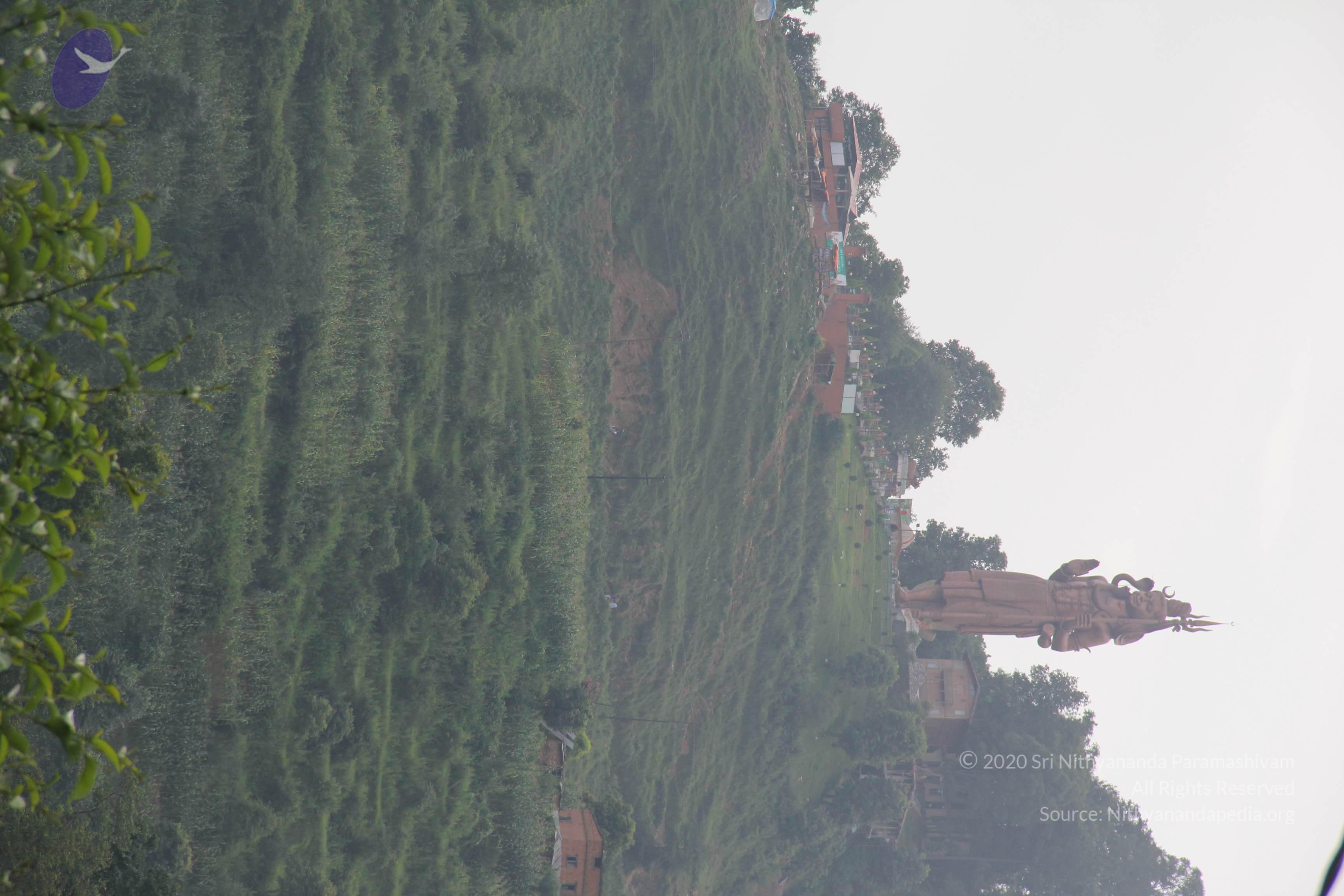 20110901_Photo_1056_IMG_1928_CMP_WM