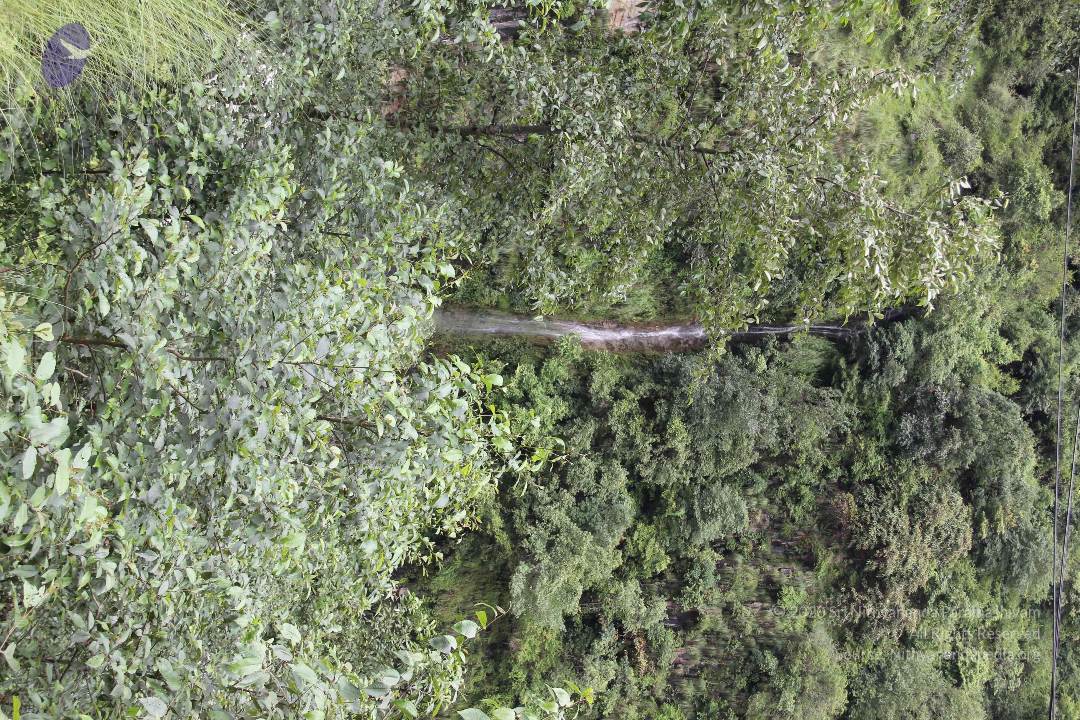 20110901_Photo_1063_IMG_2387_CMP_WM