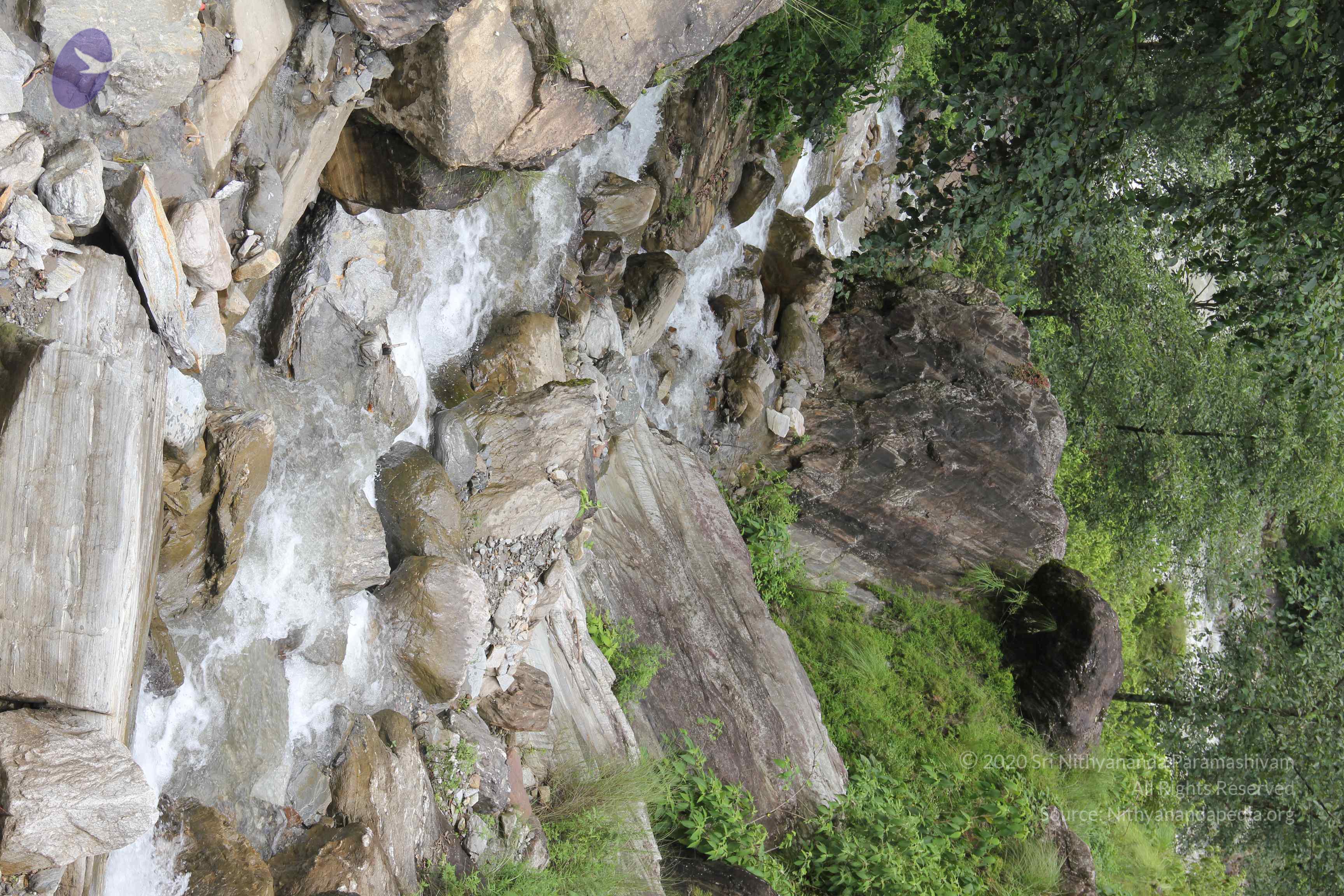 20110901_Photo_1102_IMG_2393_CMP_WM