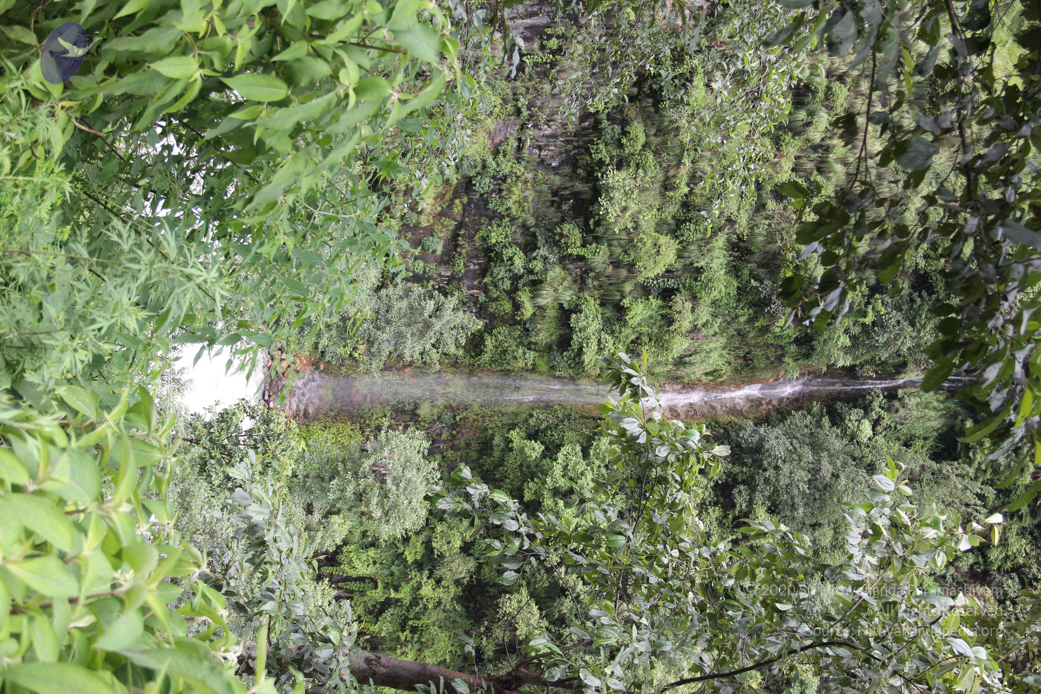 20110901_Photo_1122_IMG_2390_CMP_WM