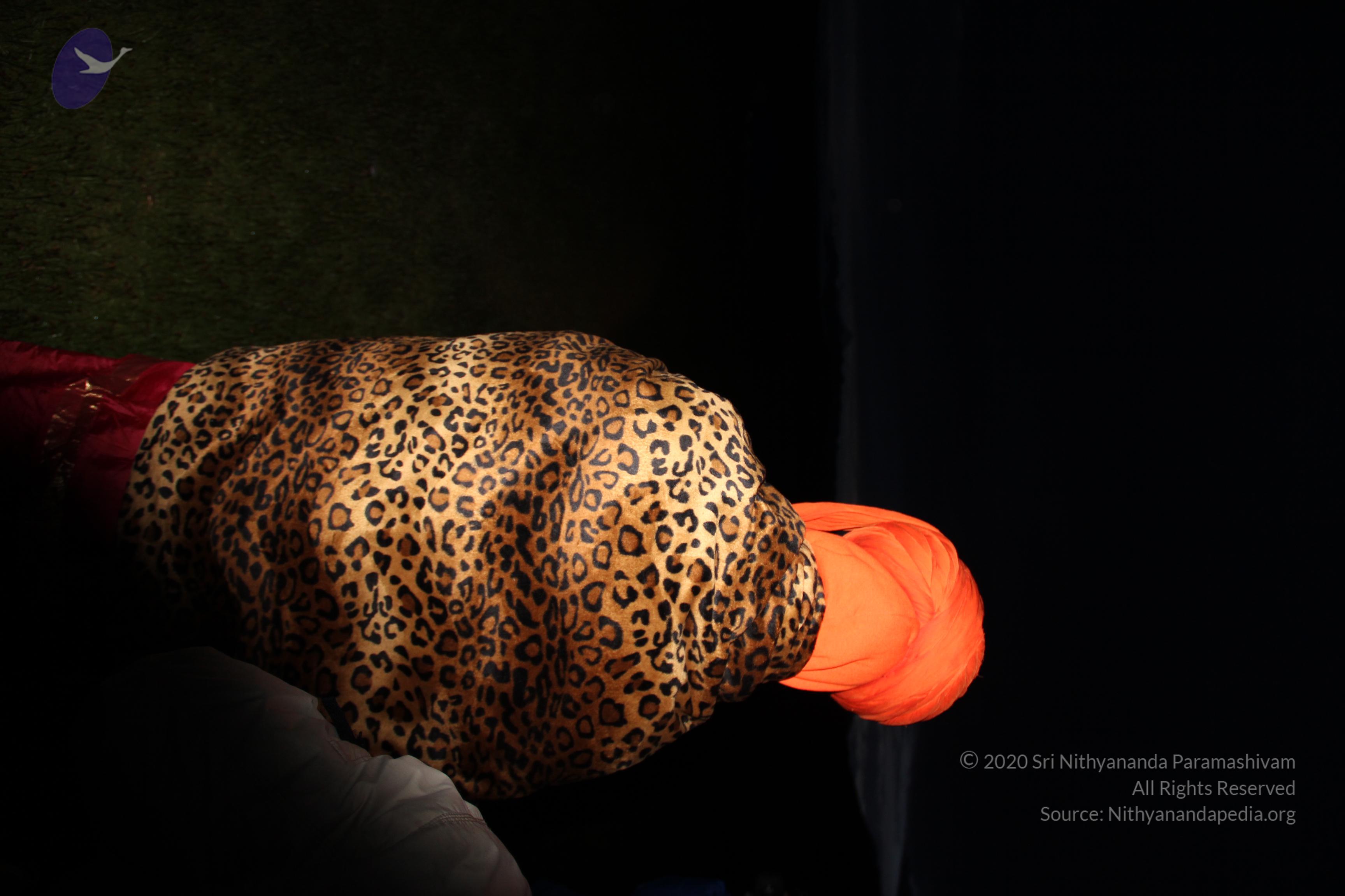 20110901_Photo_1147_IMG_2103_CMP_WM