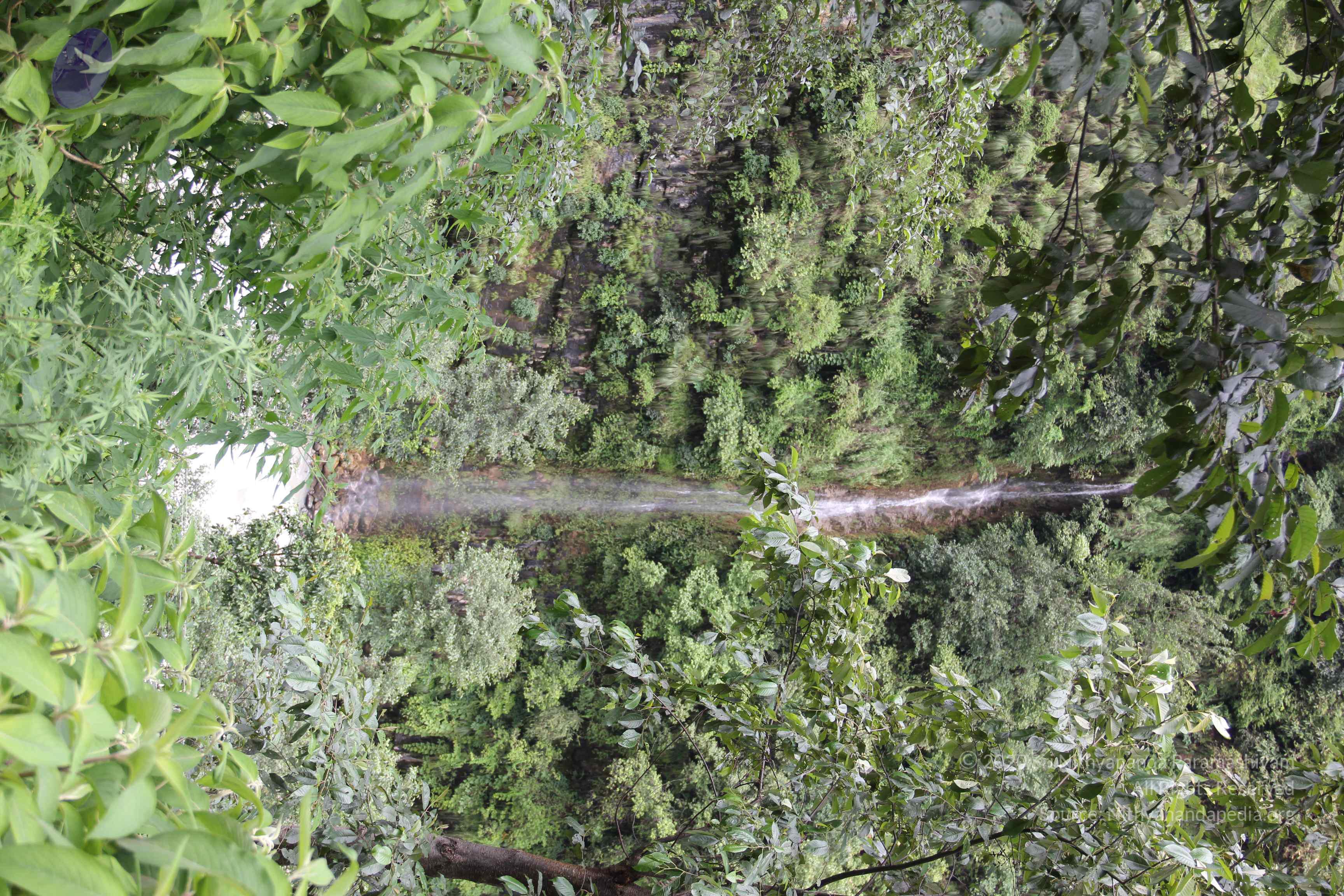 20110901_Photo_1190_IMG_2389_CMP_WM