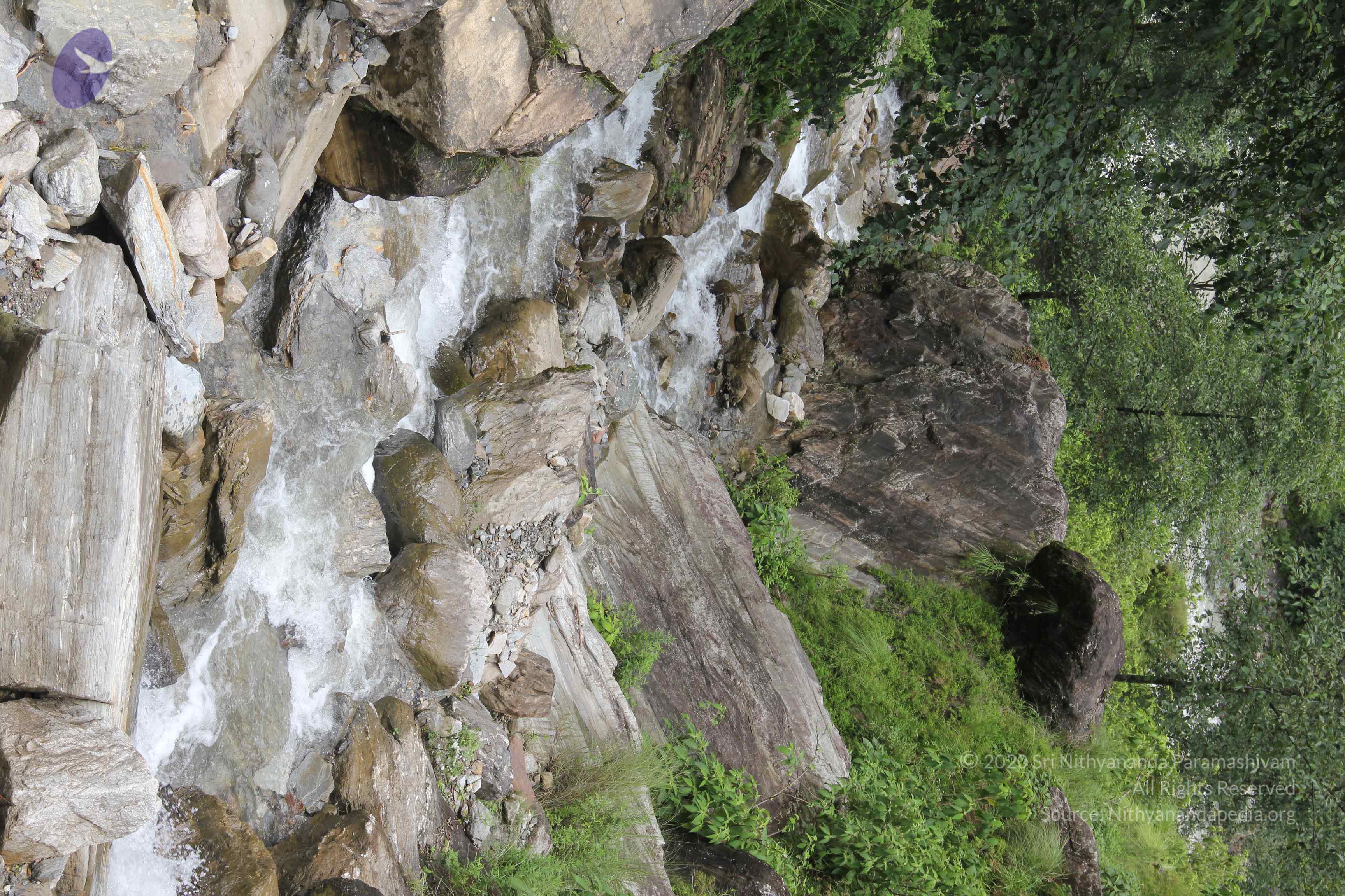 20110901_Photo_1202_IMG_2392_CMP_WM