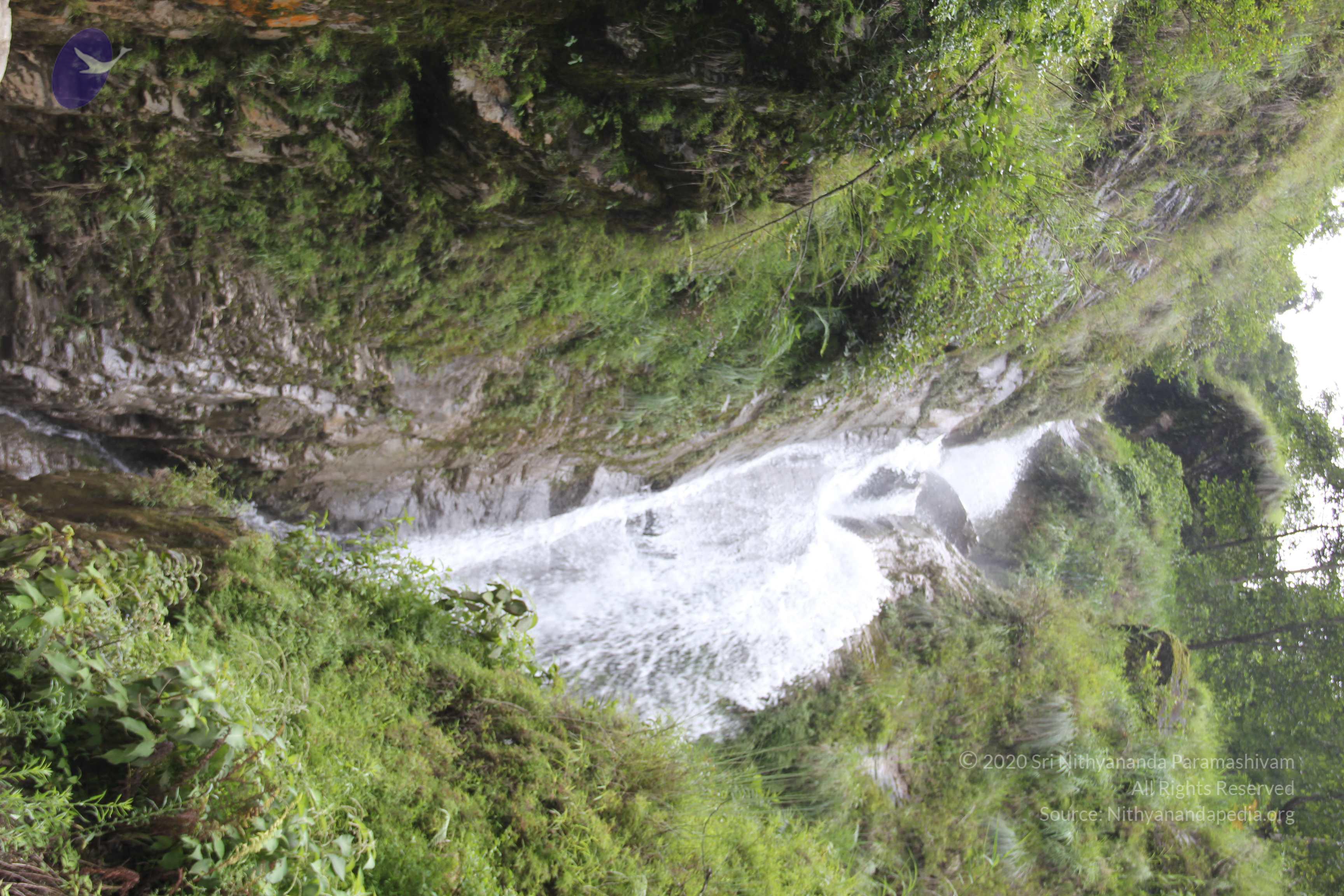 20110901_Photo_1210_IMG_2383_CMP_WM