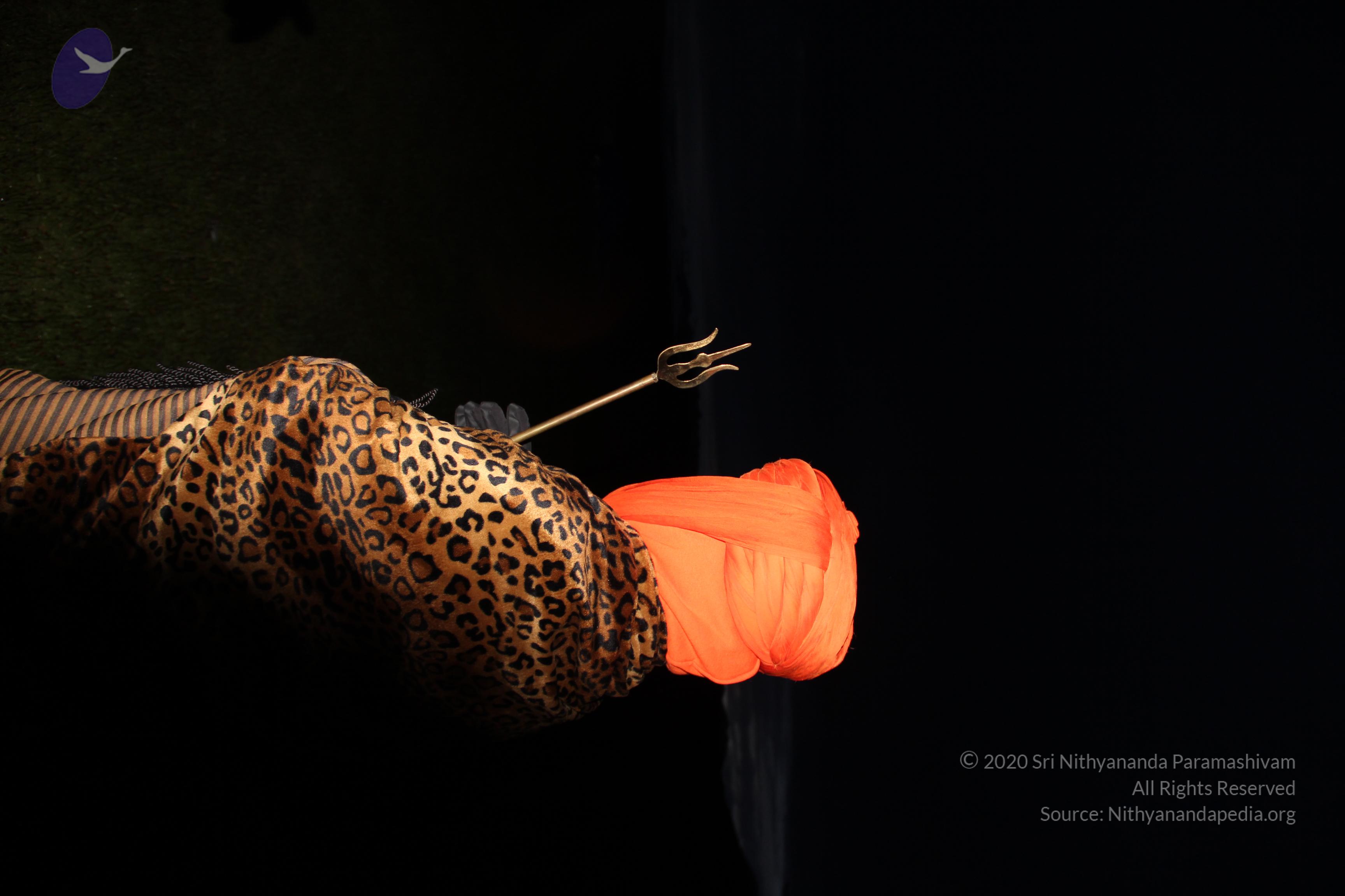 20110901_Photo_1228_IMG_2104_CMP_WM