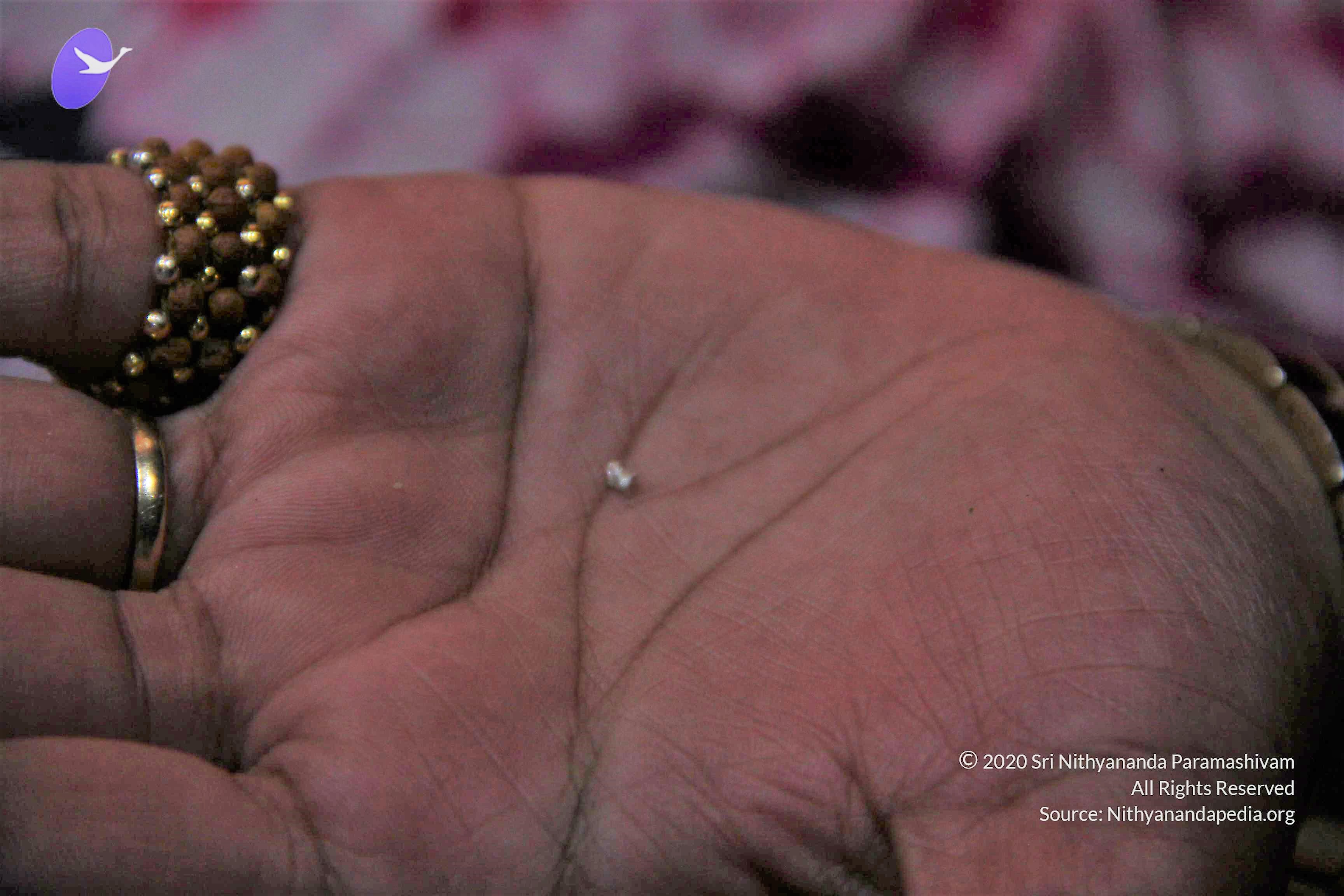 20110901_Photo_1006_IMG_2541_CMP_WM