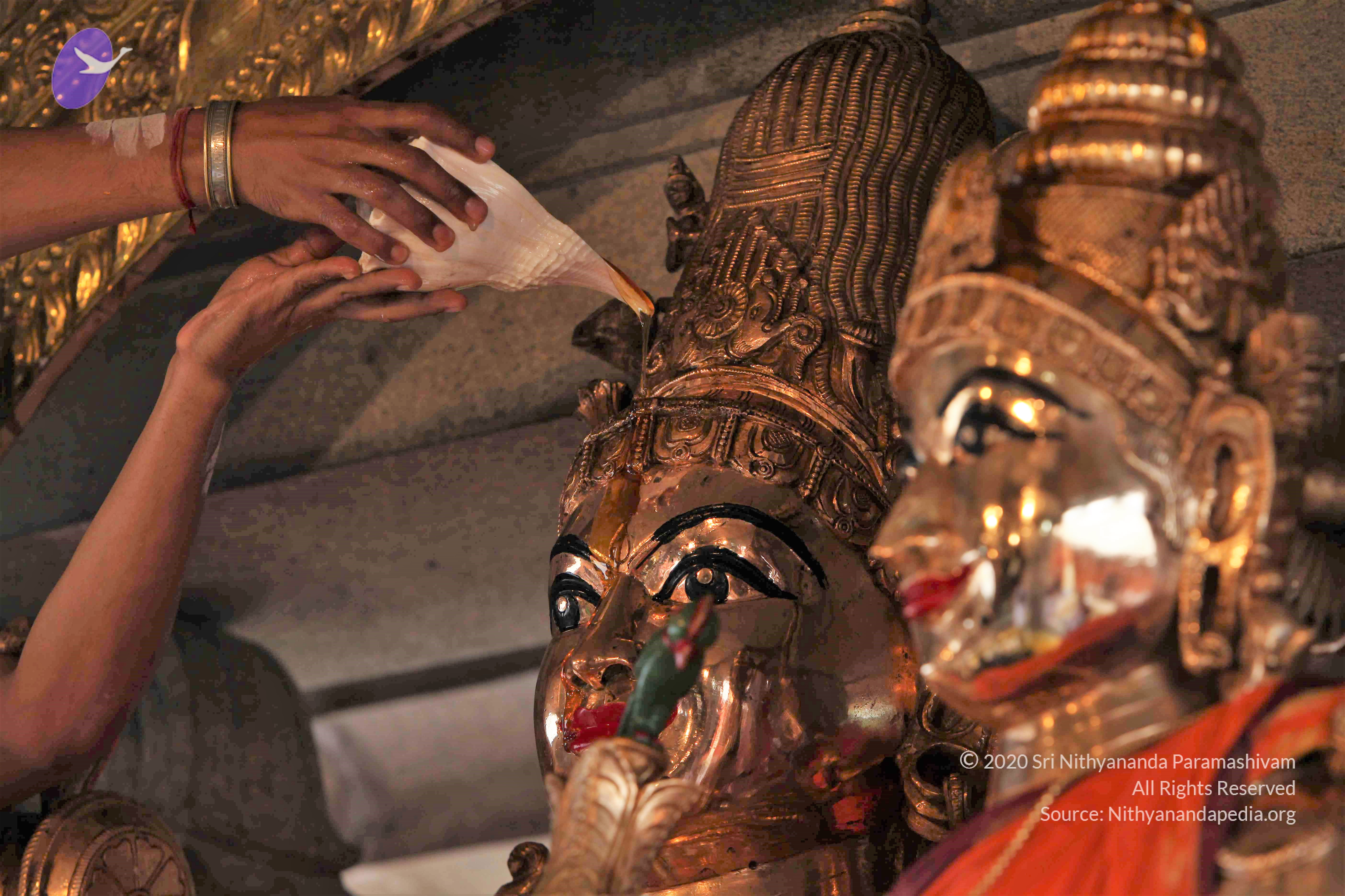 20110919_Photo_1007_IMG_9613_CMP_WM