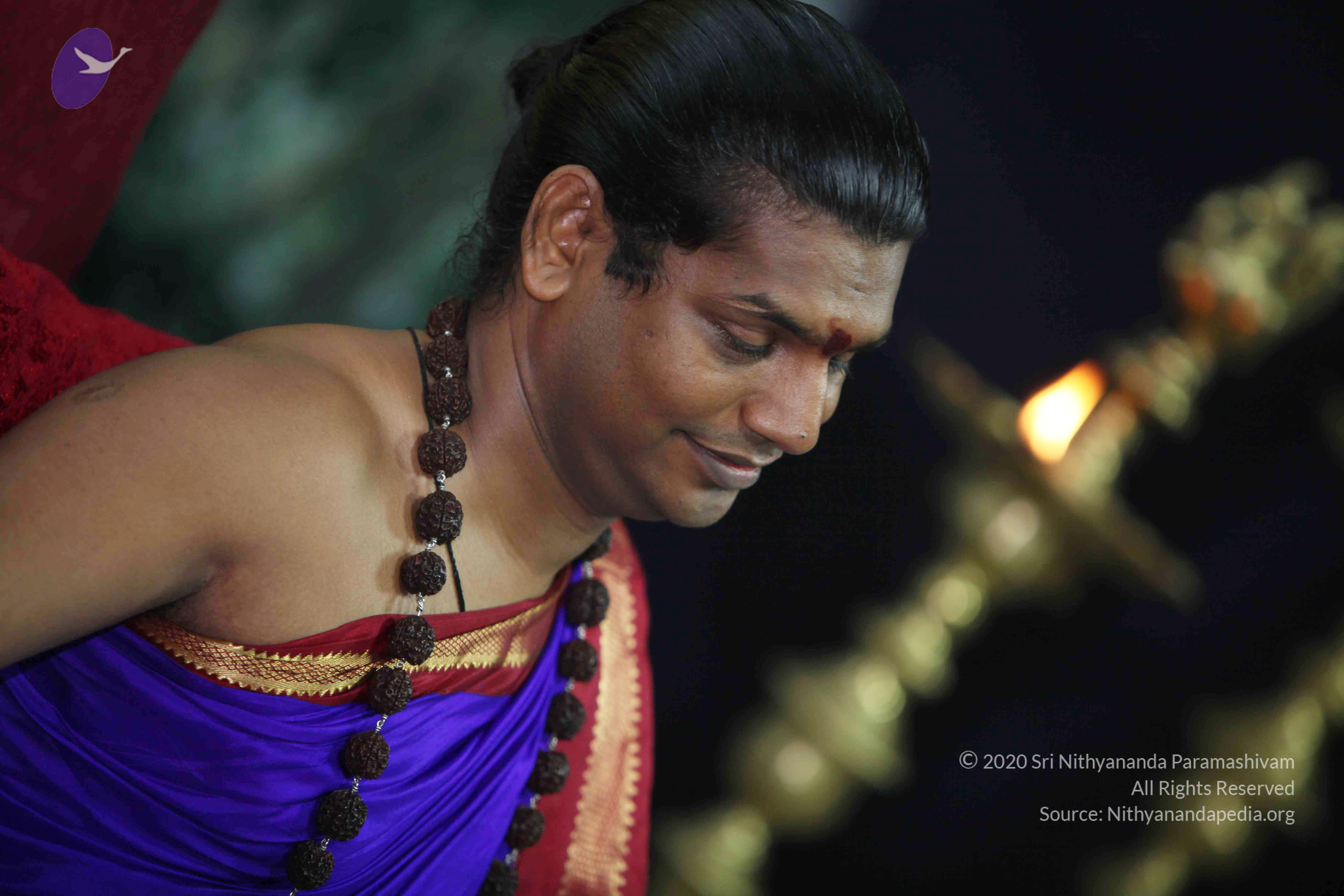 20110905_Photo_1002_IMG_0046_CMP_WM