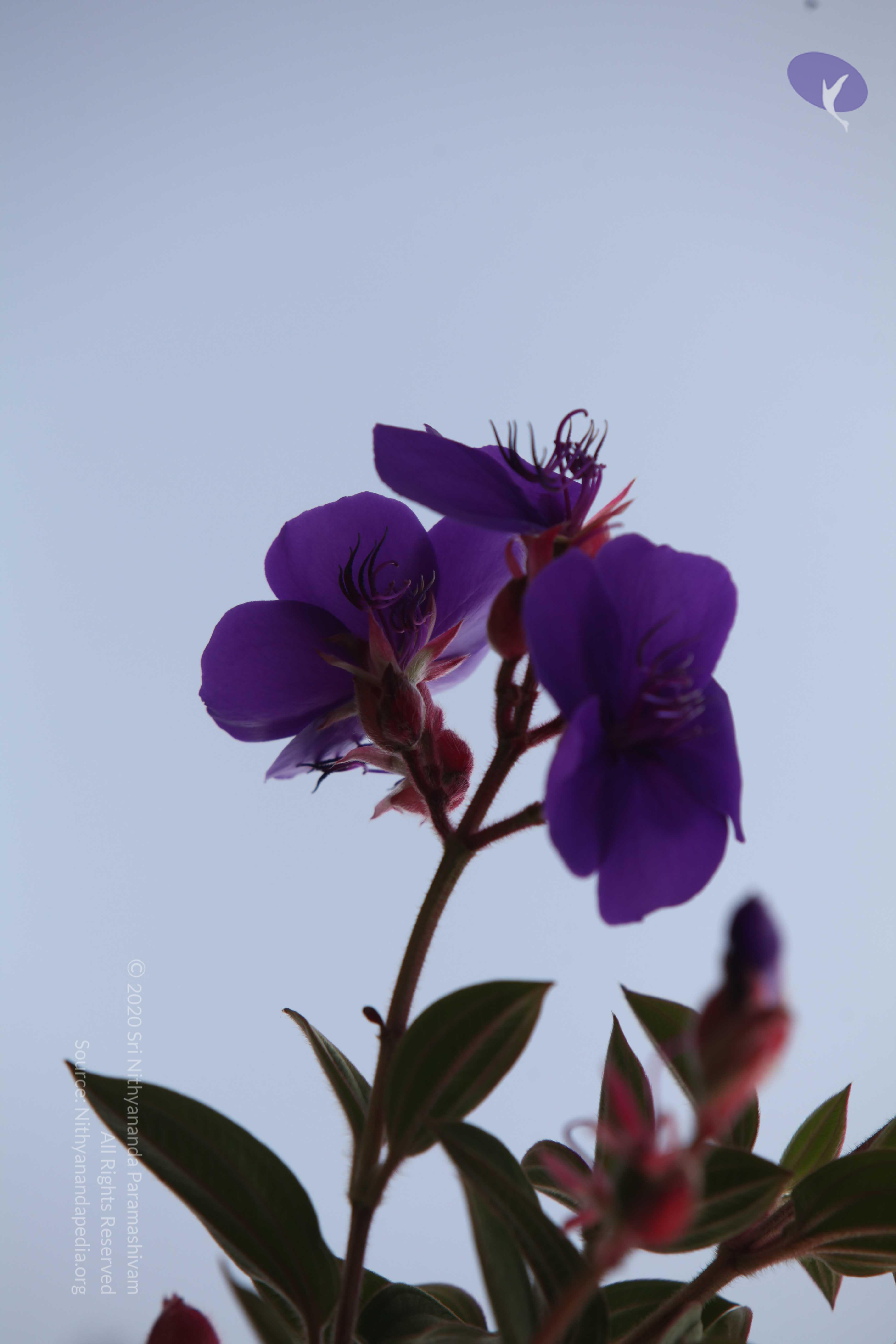 20120711_Photo_1001_IMG_8116_CMP_WM