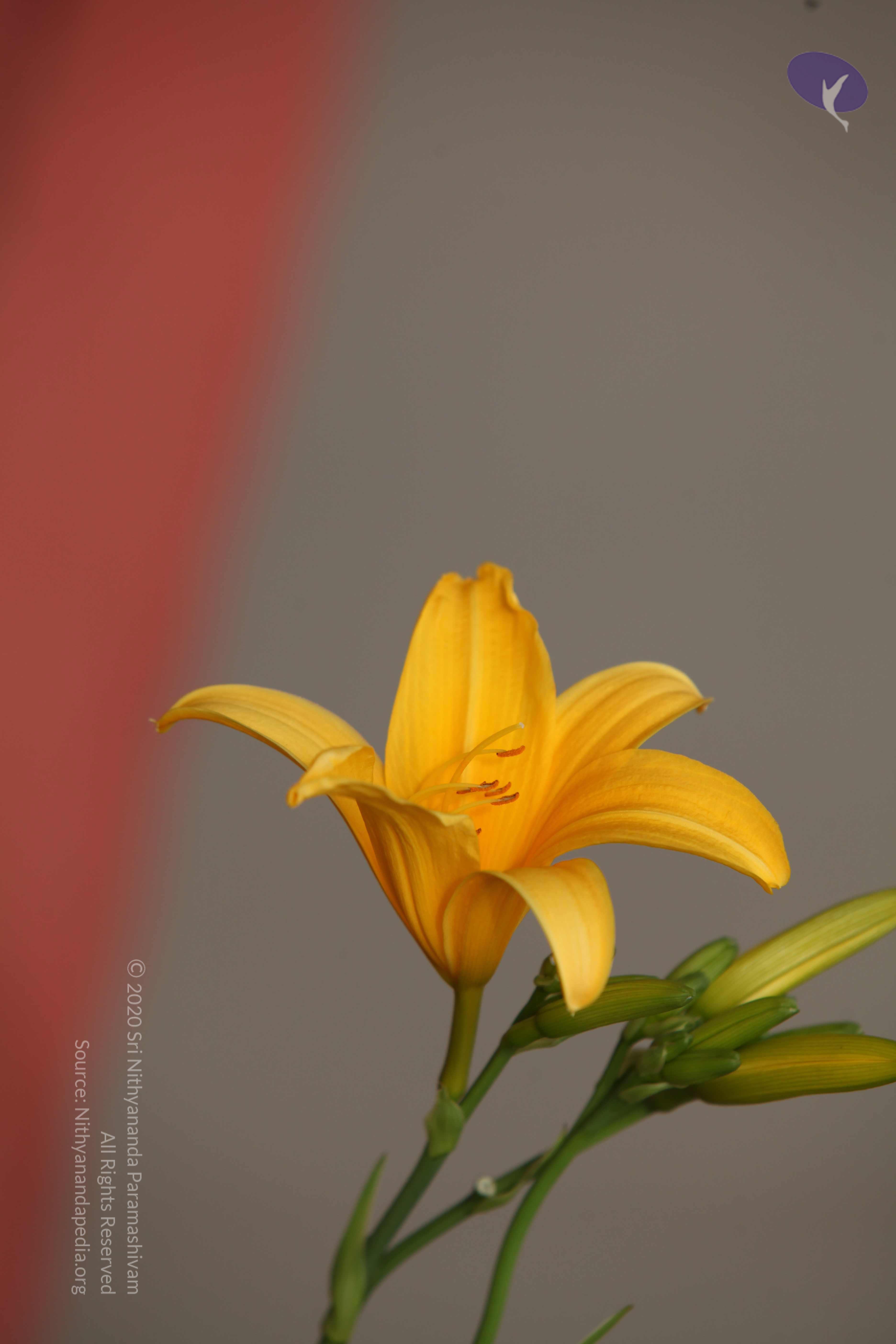 20120711_Photo_1003_IMG_8118_CMP_WM