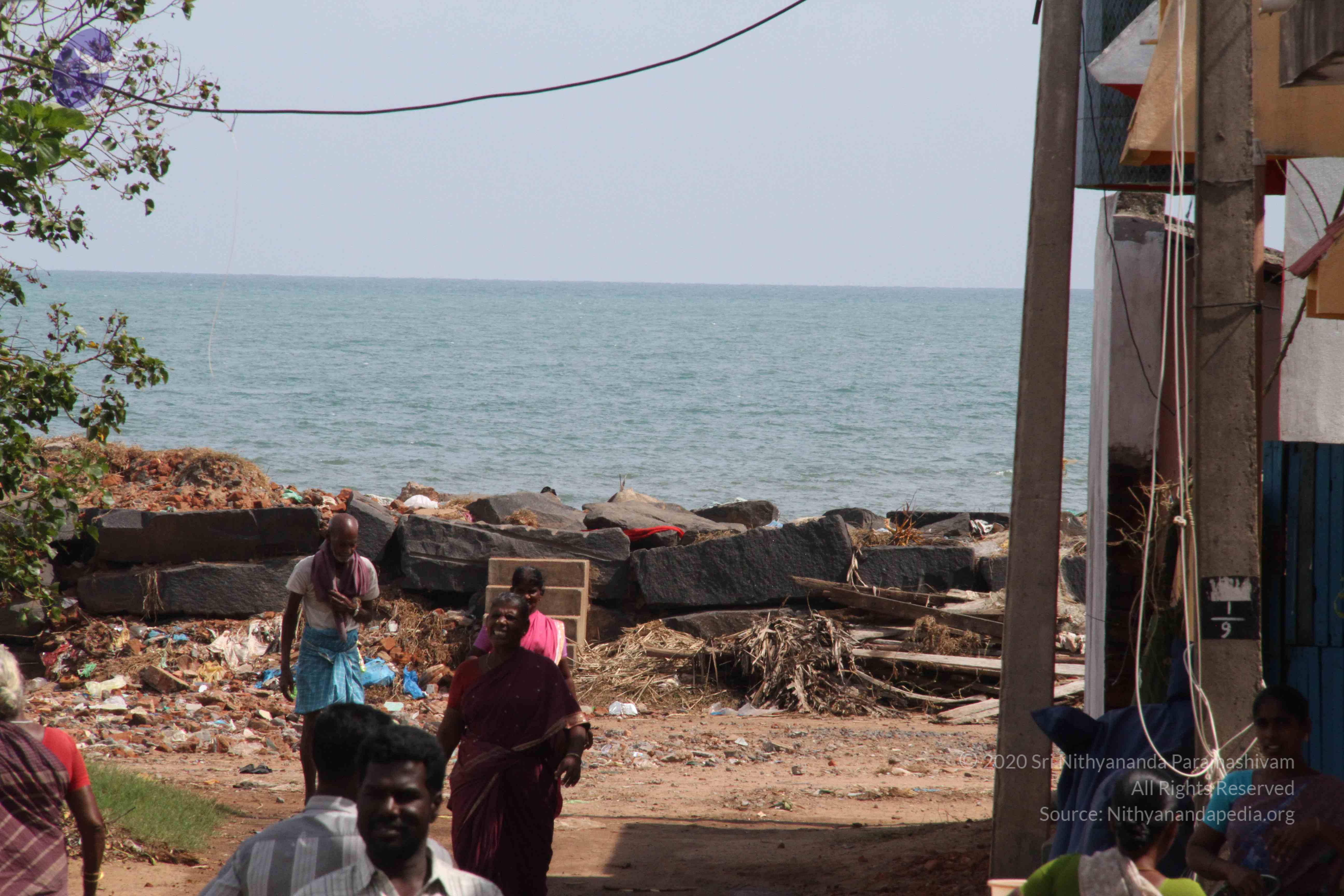 20120107_Photo_1001_IMG_5157_CMP_WM