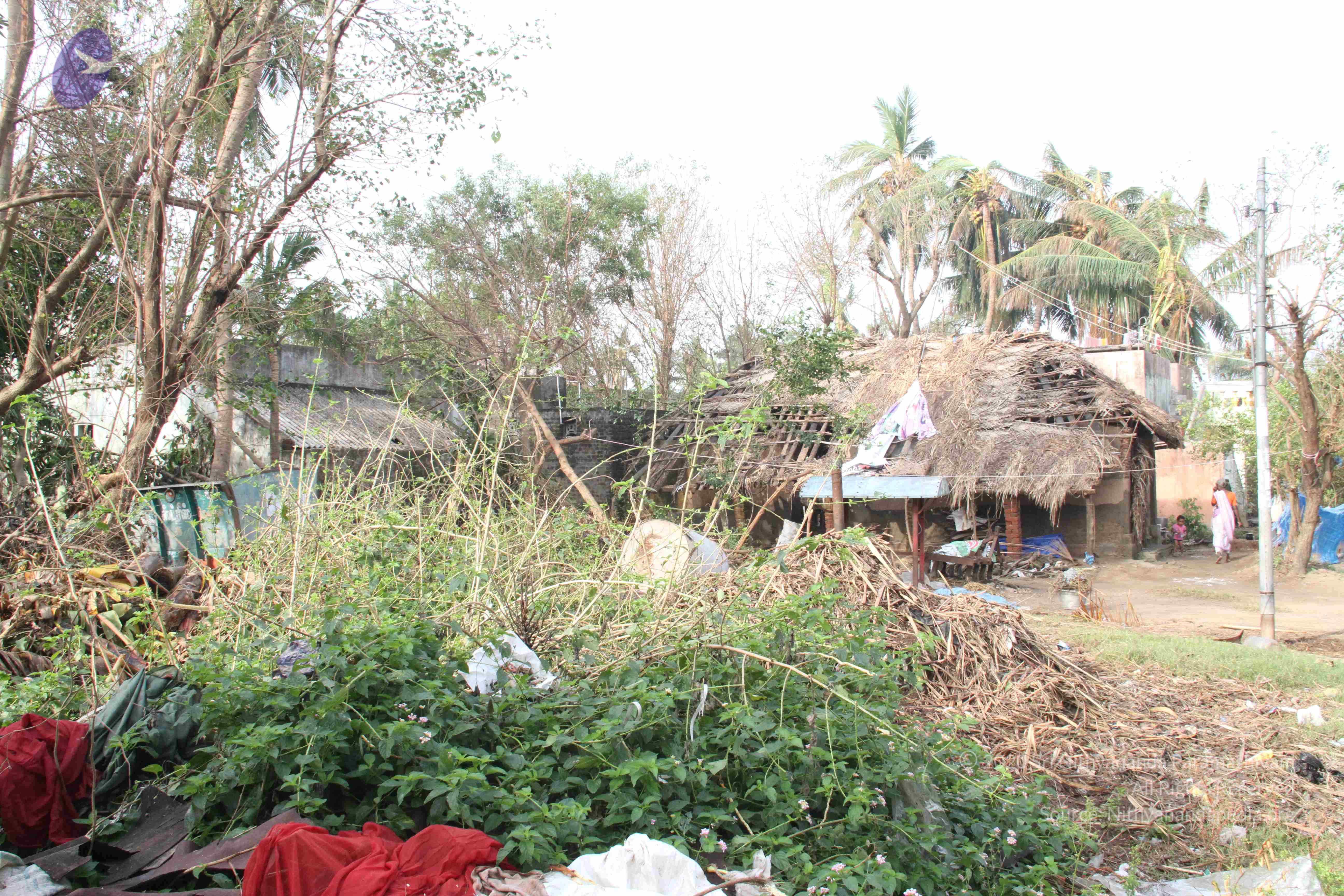 20120107_Photo_1014_IMG_5086_CMP_WM