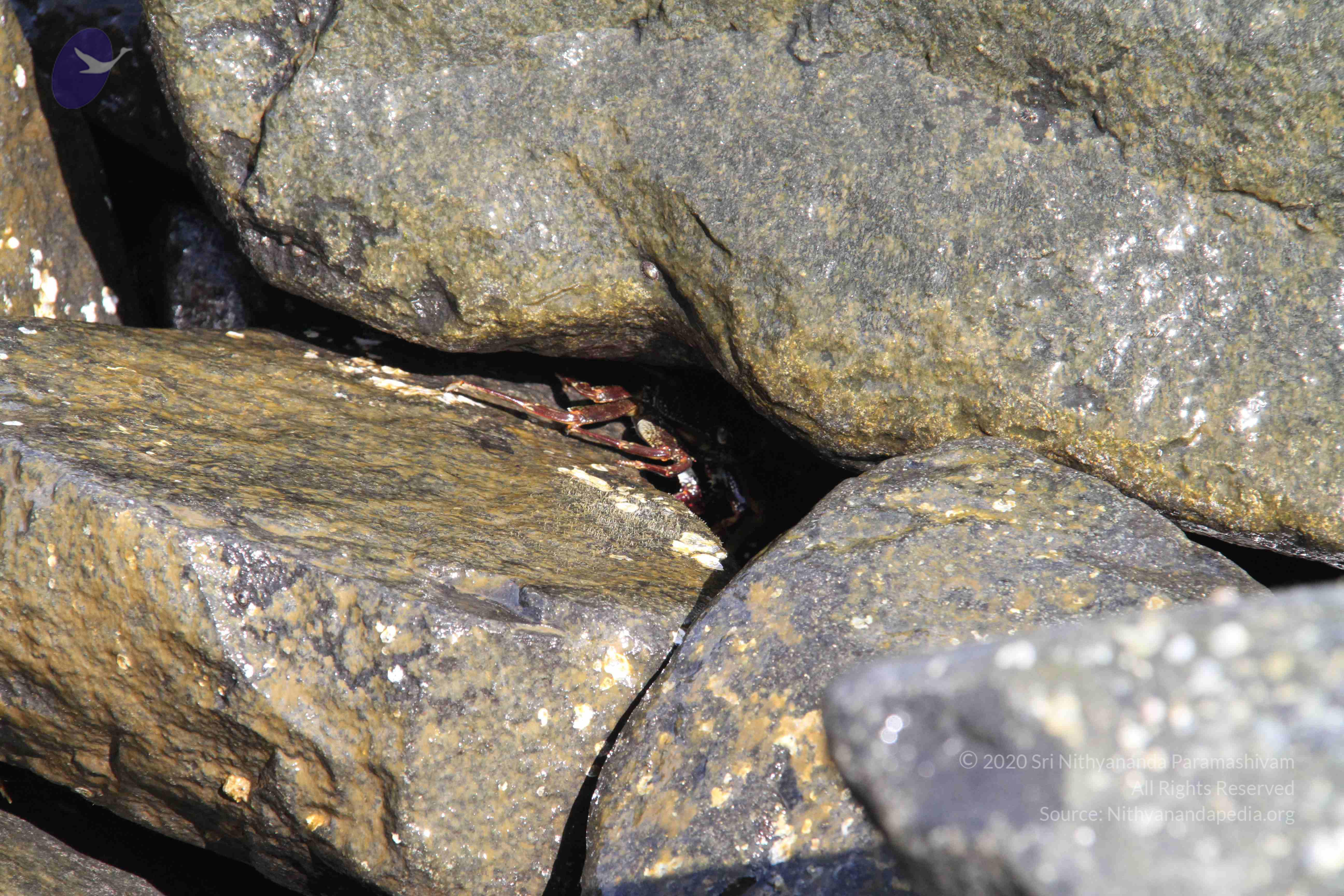 20120107_Photo_1021_IMG_5201_CMP_WM