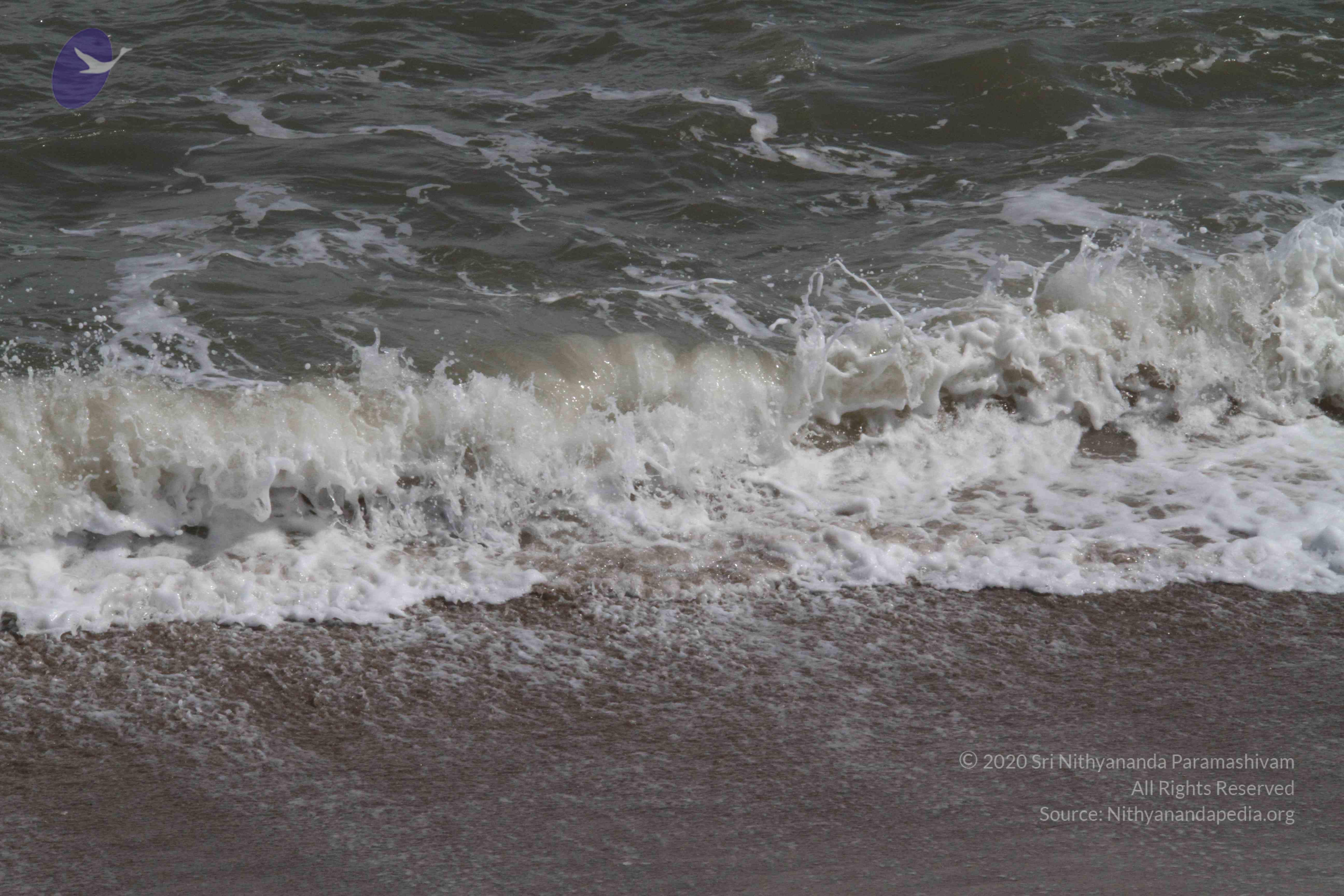 20120107_Photo_1023_IMG_5174_CMP_WM