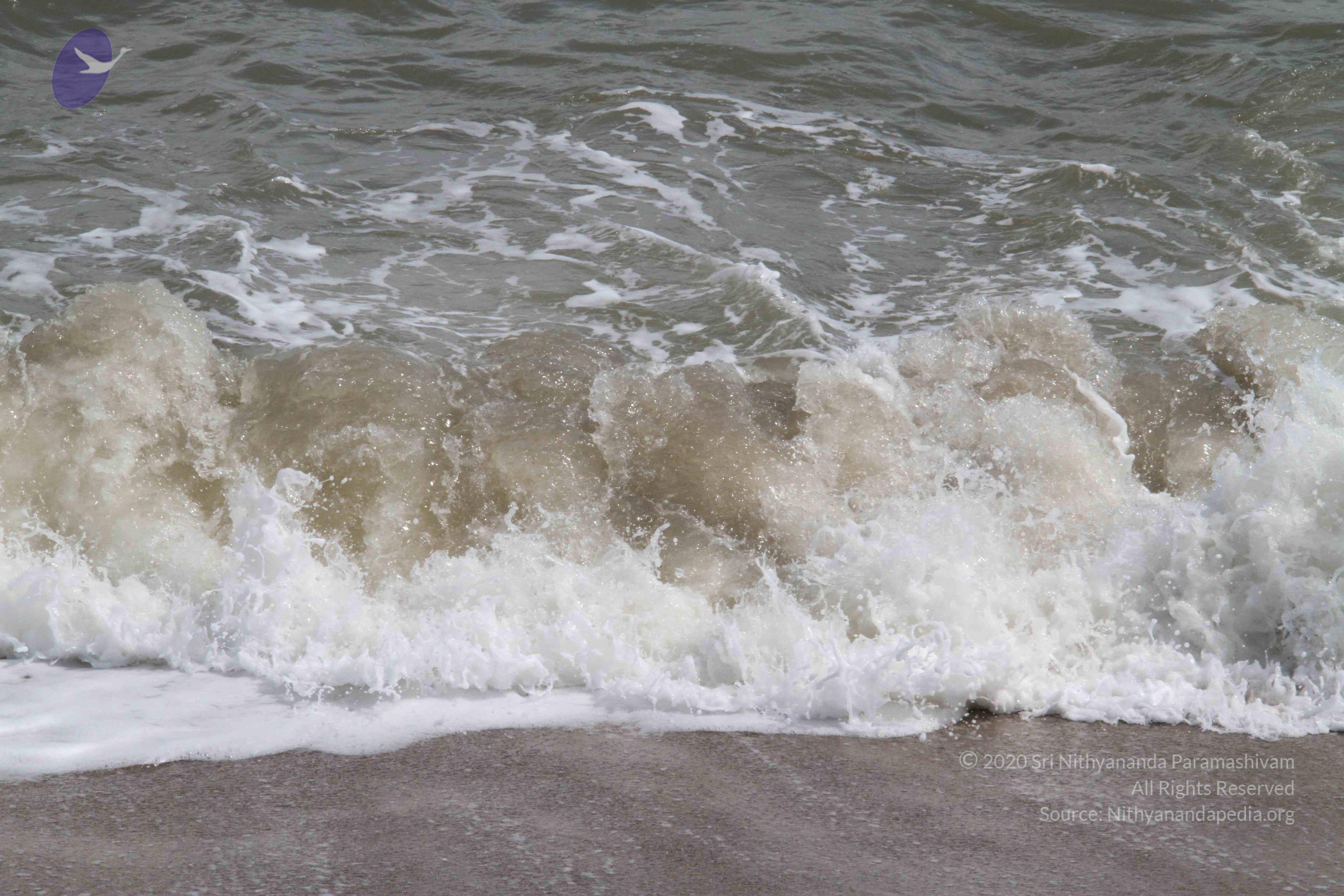 20120107_Photo_1043_IMG_5173_CMP_WM