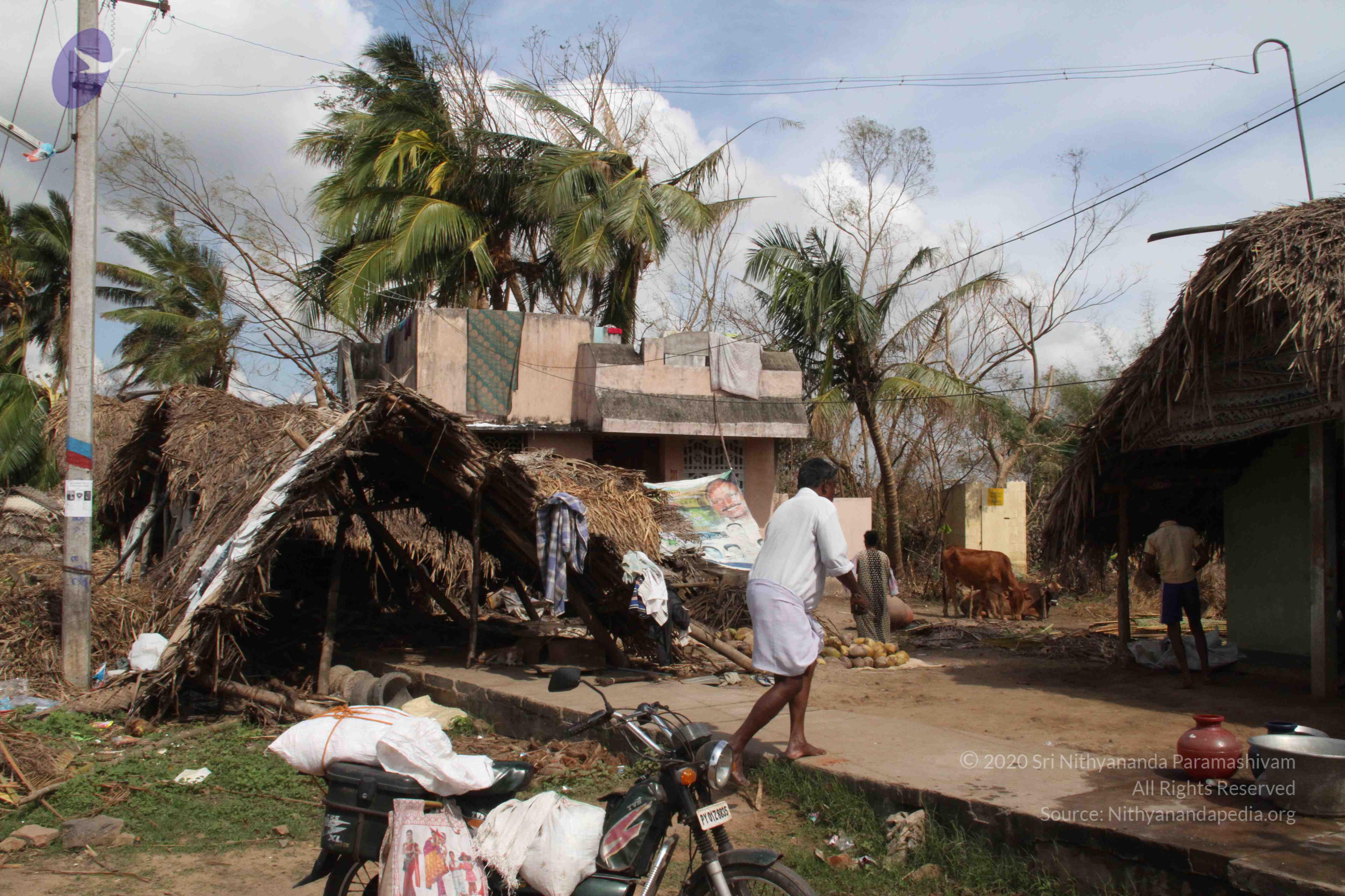 20120107_Photo_1048_IMG_5123_CMP_WM