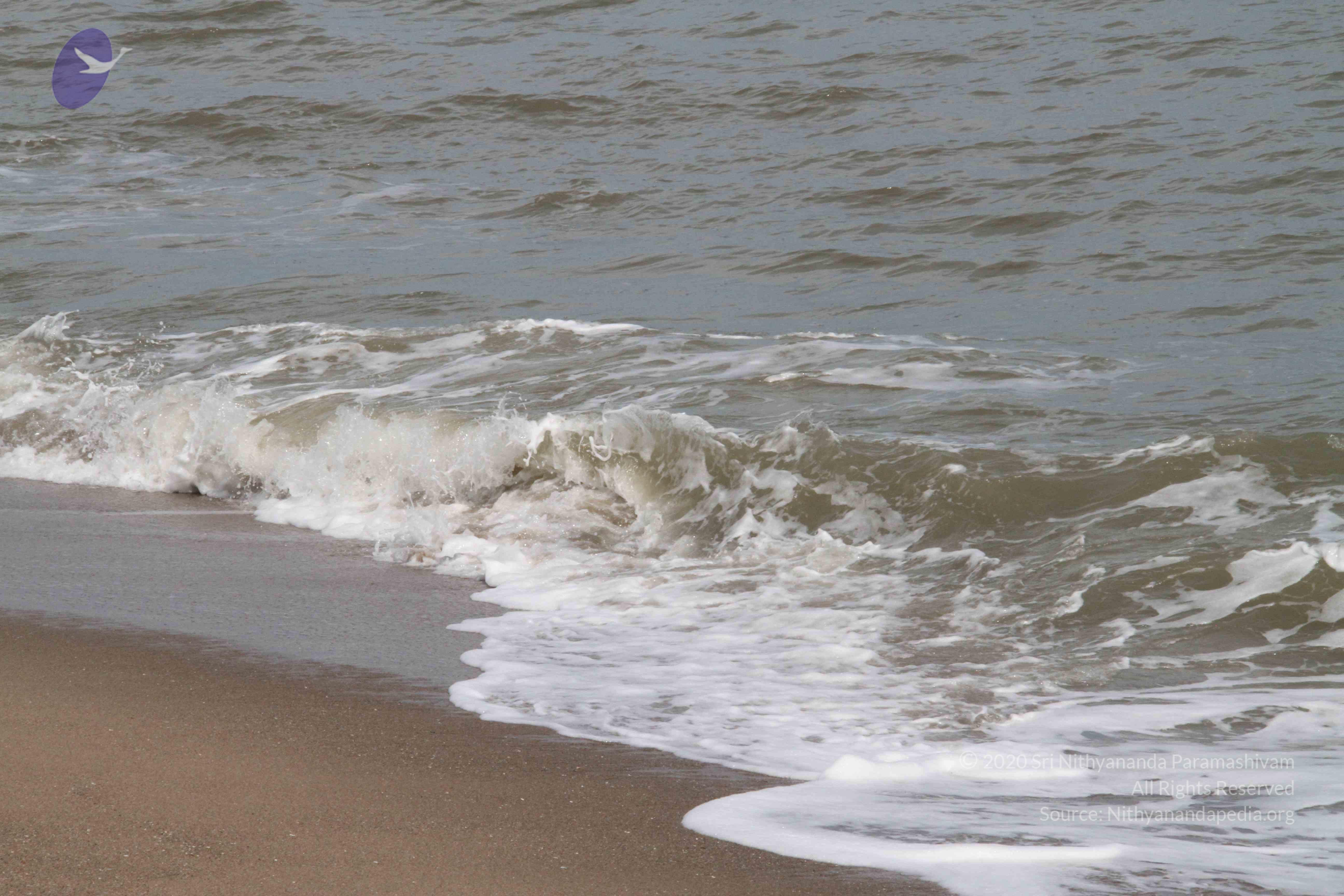 20120107_Photo_1049_IMG_5176_CMP_WM