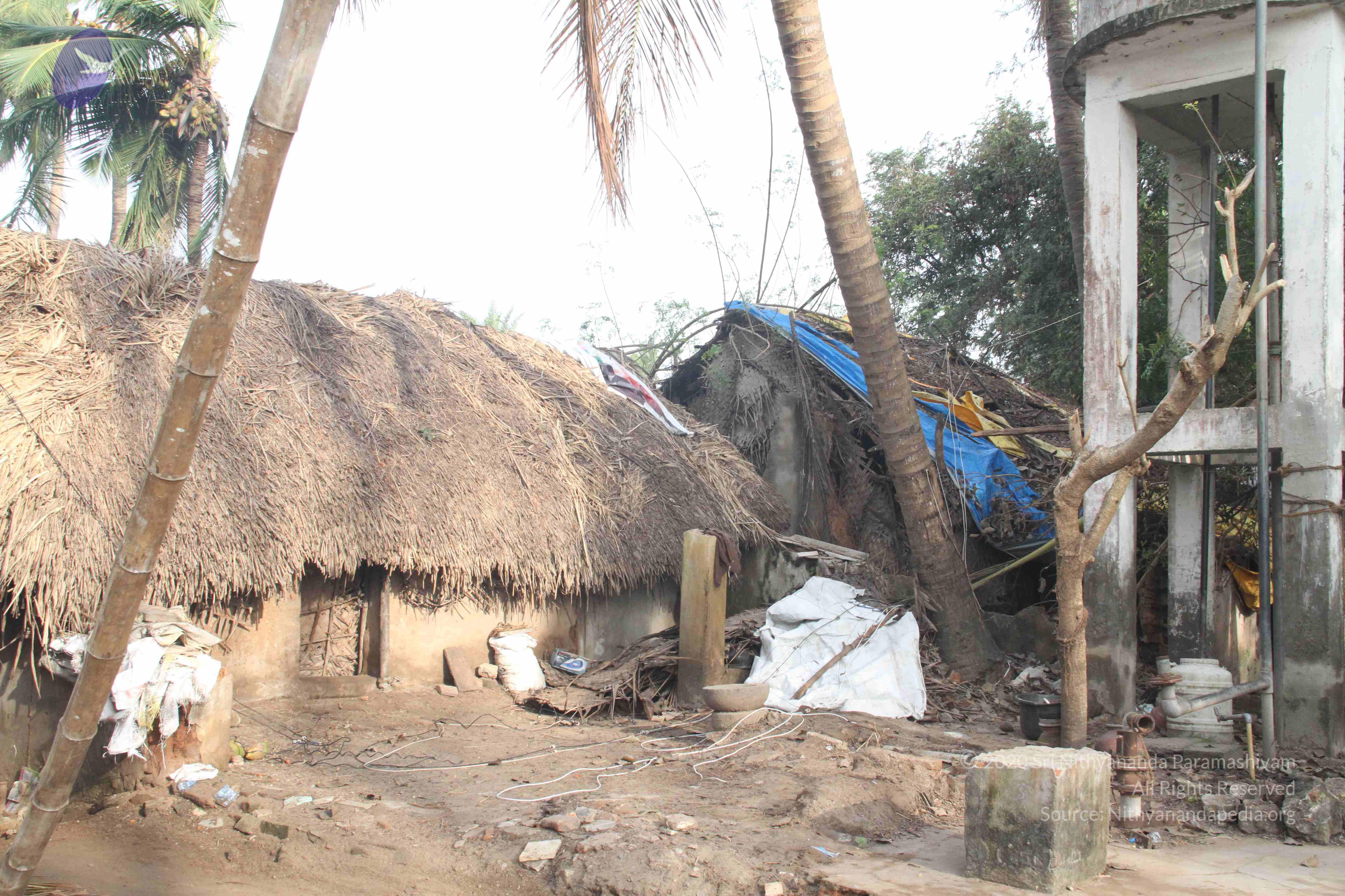 20120107_Photo_1052_IMG_5062_CMP_WM