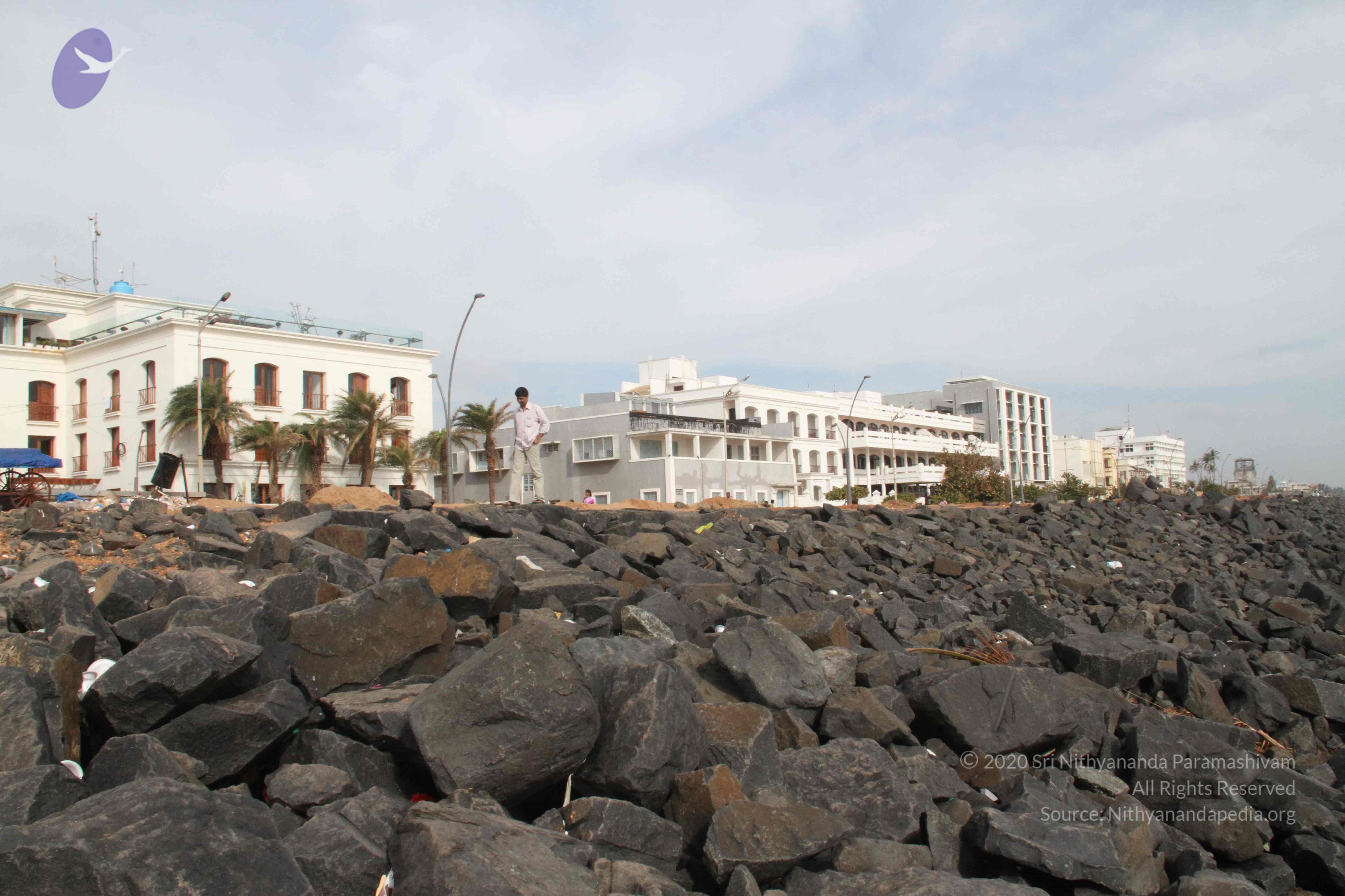 20120107_Photo_1063_IMG_5105_CMP_WM