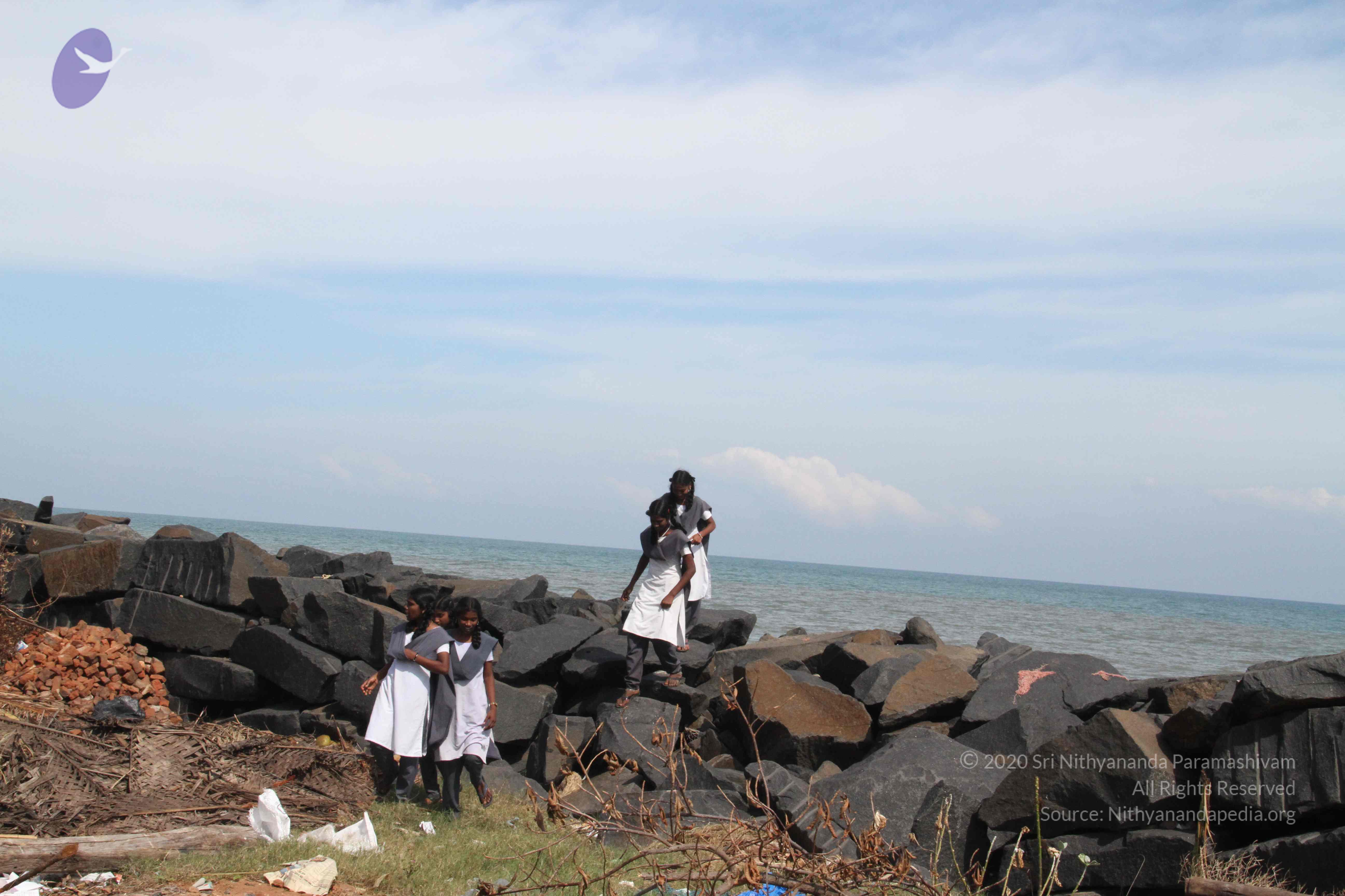 20120107_Photo_1065_IMG_5198_CMP_WM