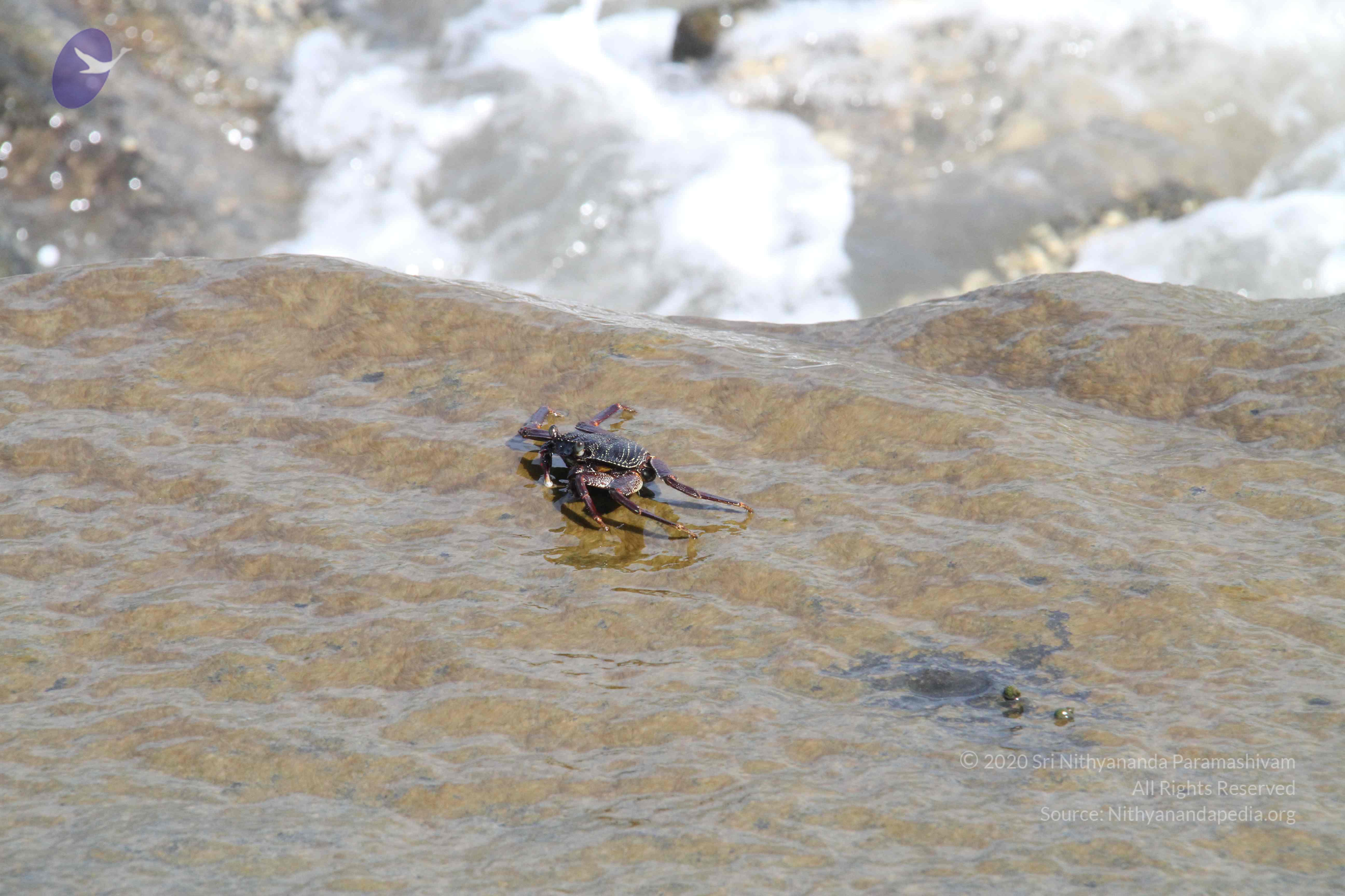 20120107_Photo_1067_IMG_5200_CMP_WM