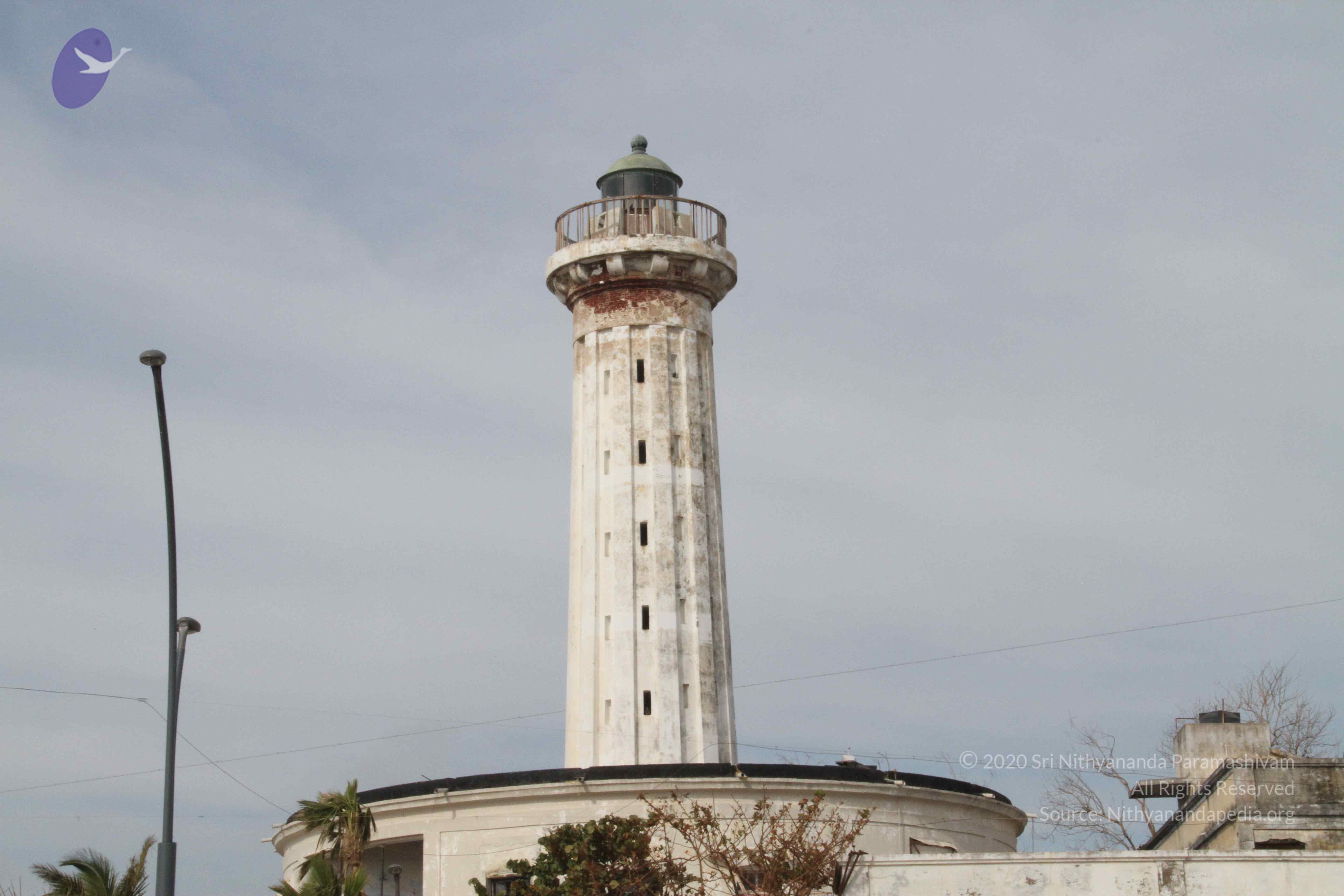 20120107_Photo_1077_IMG_5106_CMP_WM