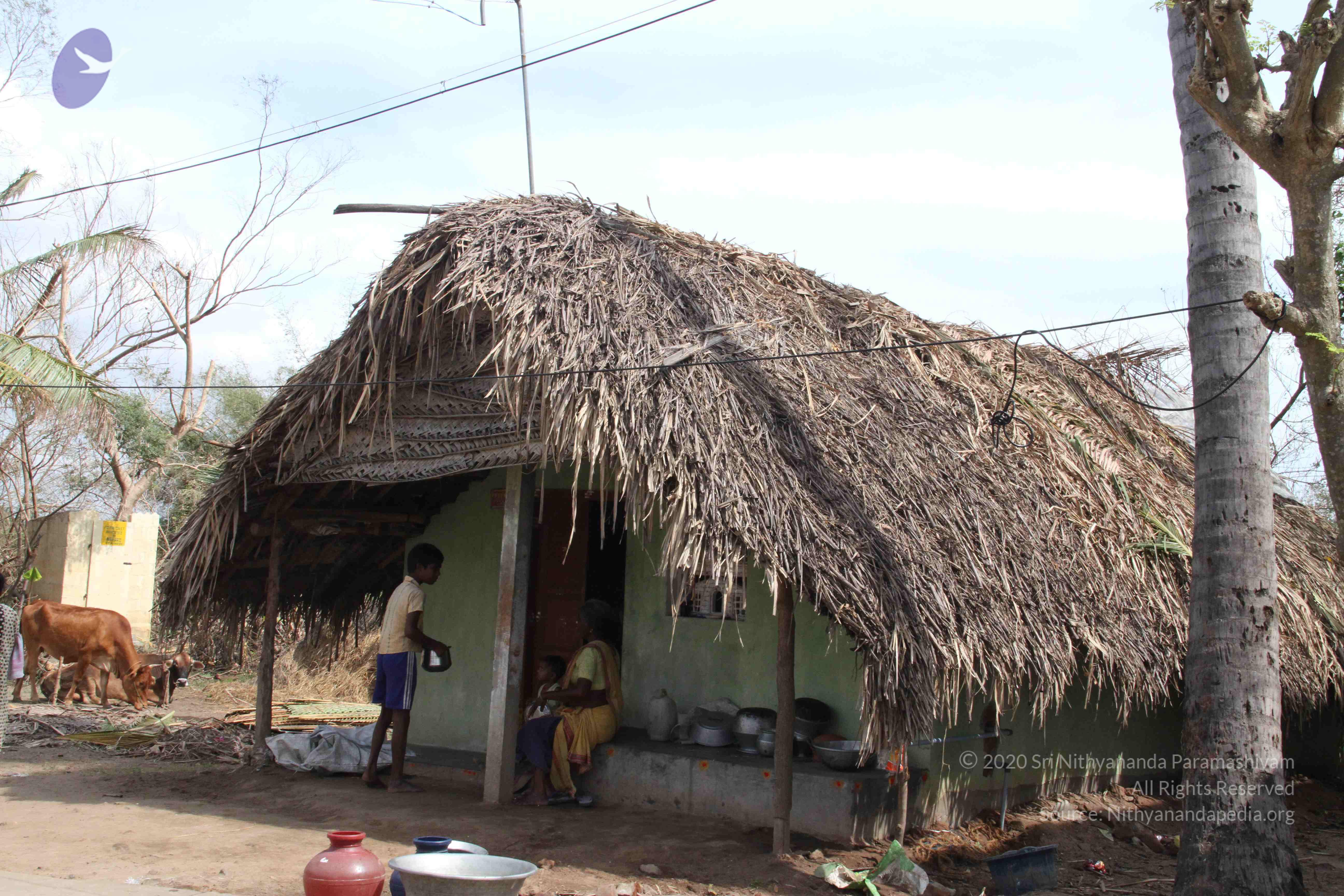 20120107_Photo_1104_IMG_5122_CMP_WM