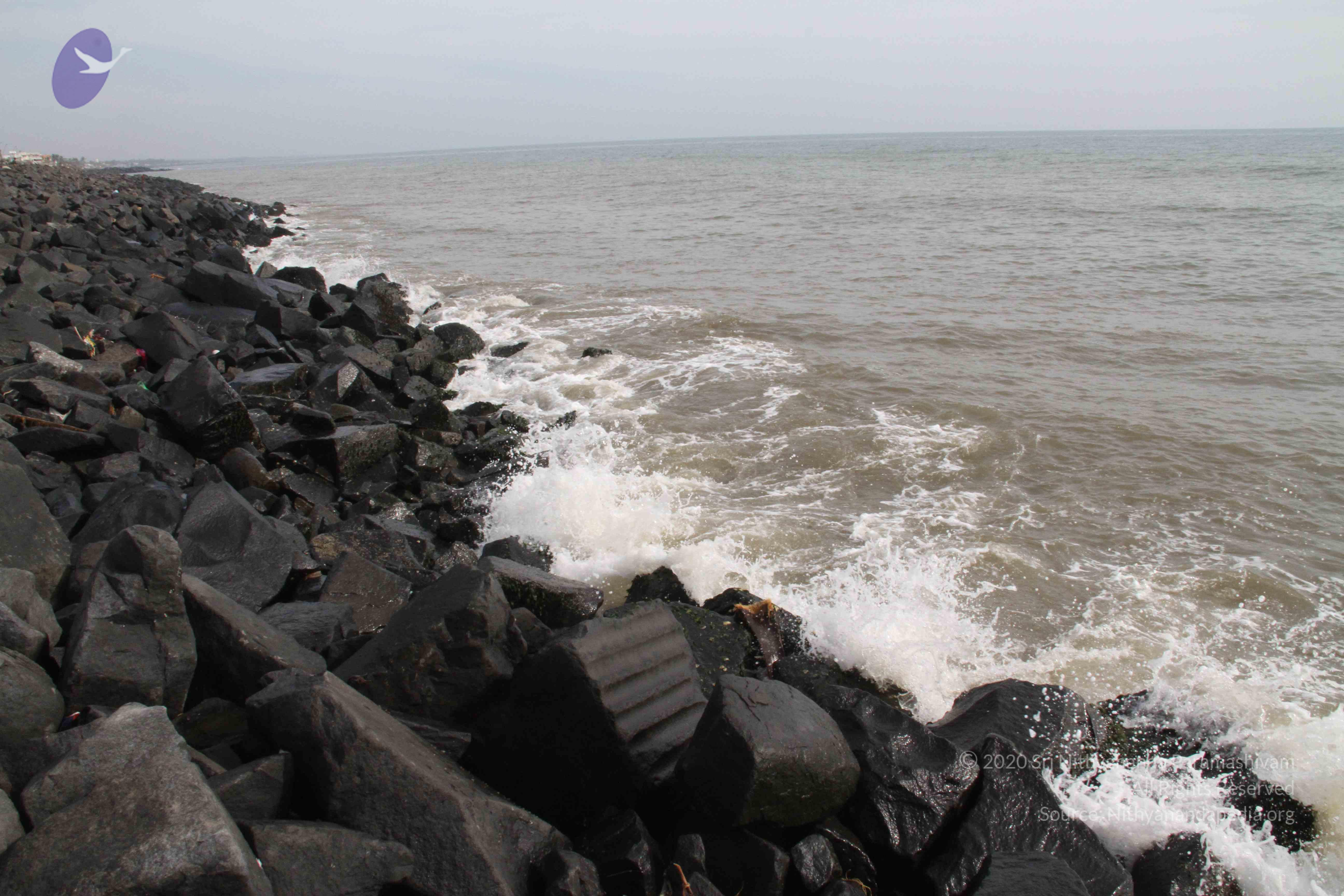 20120107_Photo_1108_IMG_5109_CMP_WM