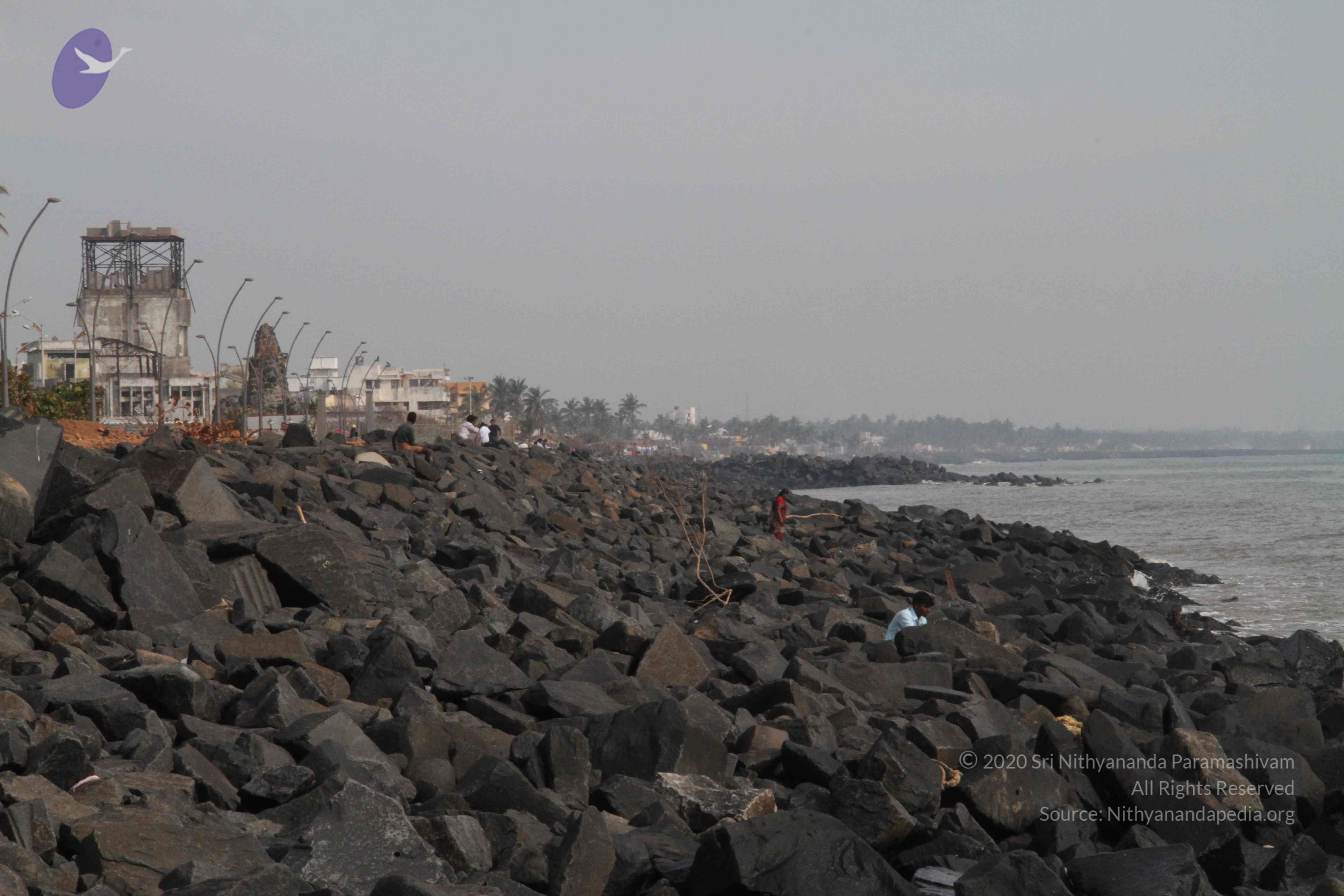 20120107_Photo_1119_IMG_5104_CMP_WM