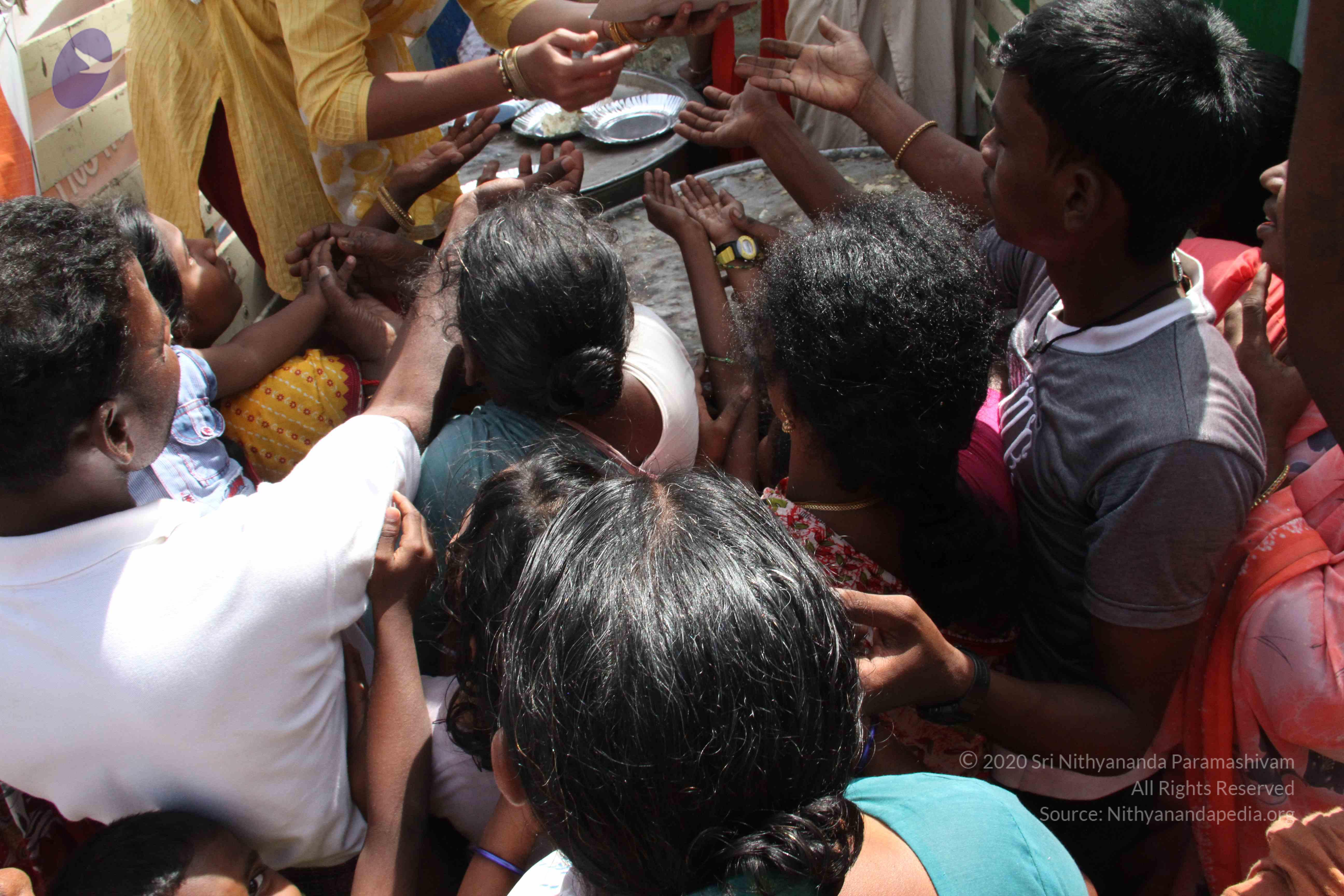 20120107_Photo_1123_IMG_5180_CMP_WM