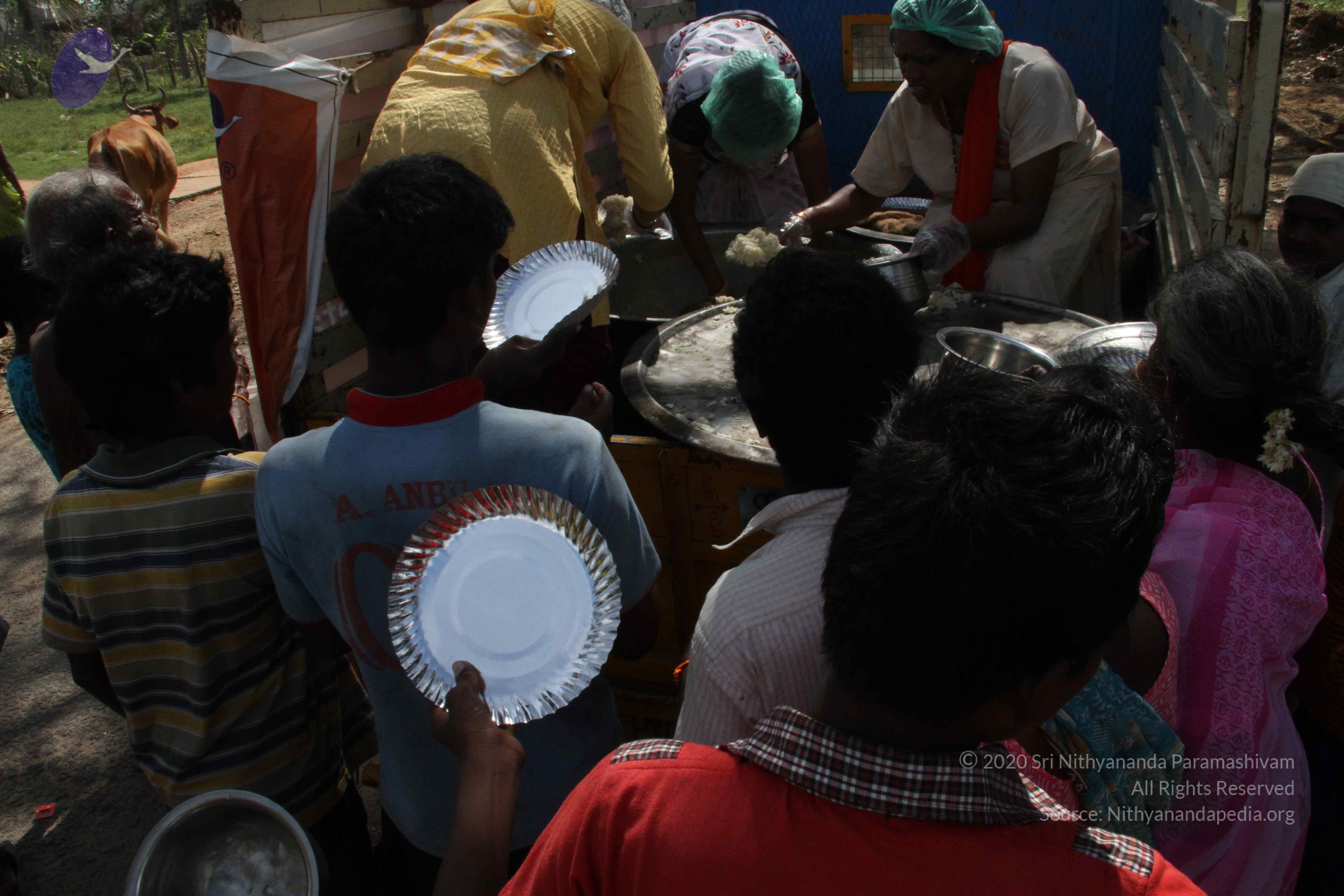 20120107_Photo_1132_IMG_5145_CMP_WM