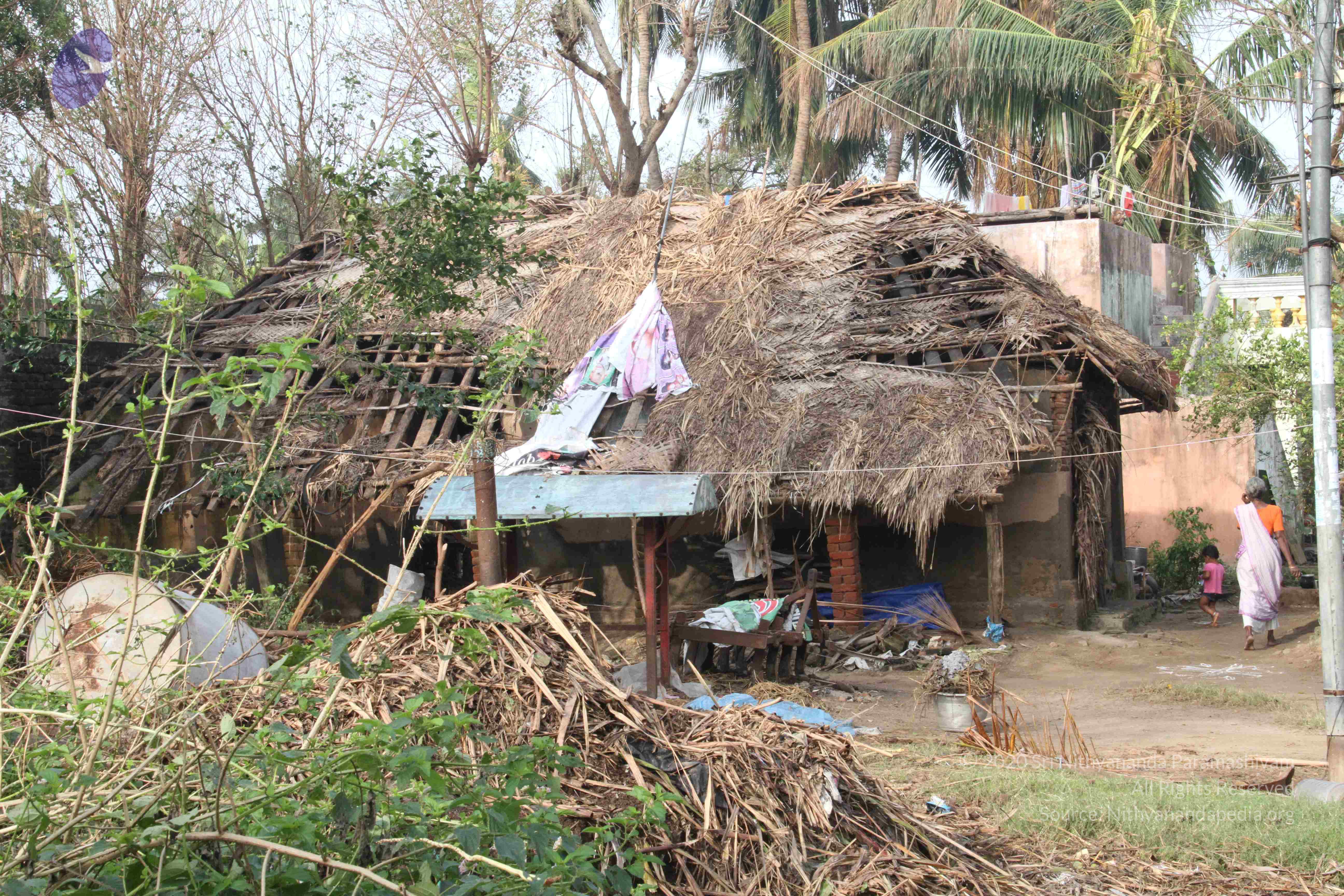 20120107_Photo_1133_IMG_5085_CMP_WM