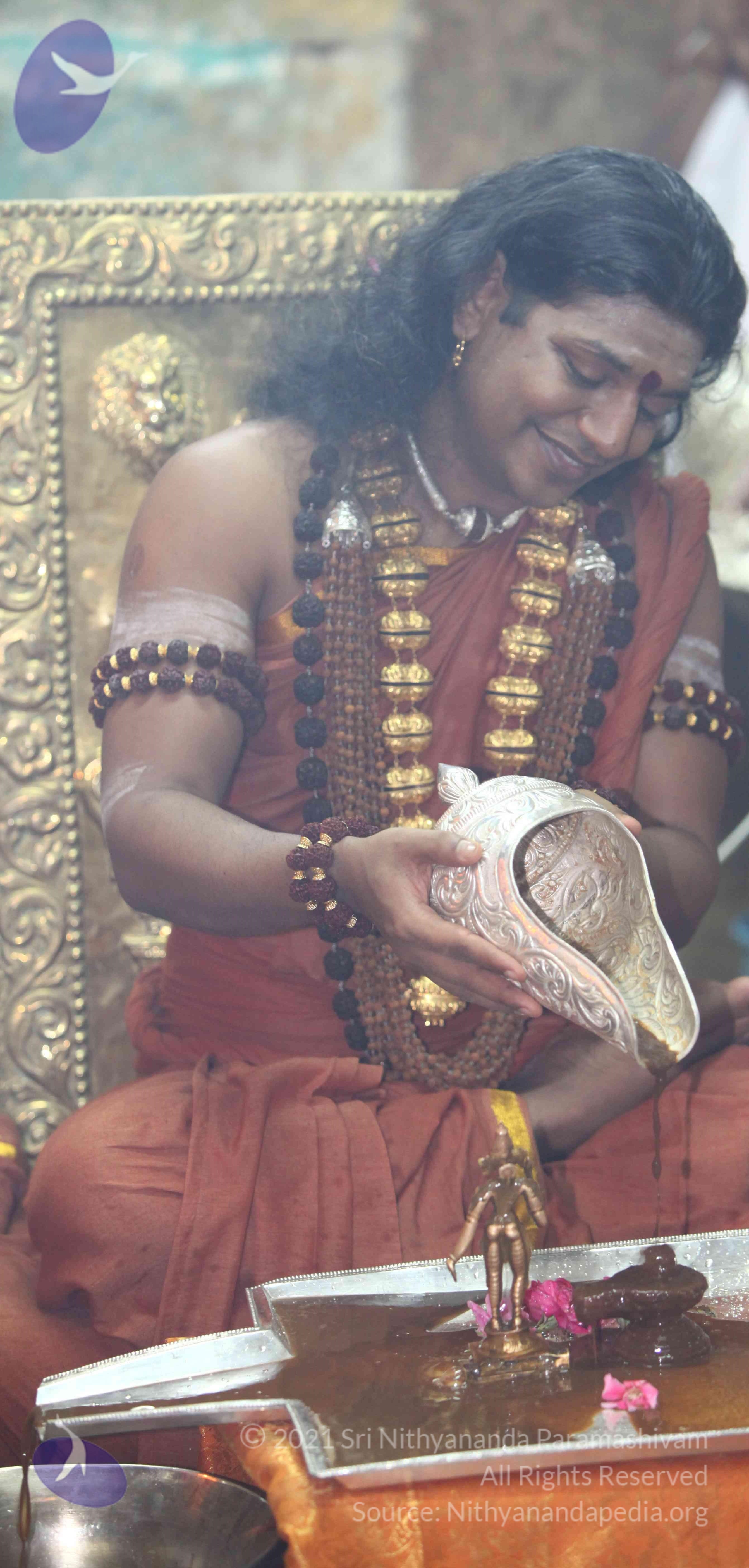 IMG_3242_CMP_WM Done