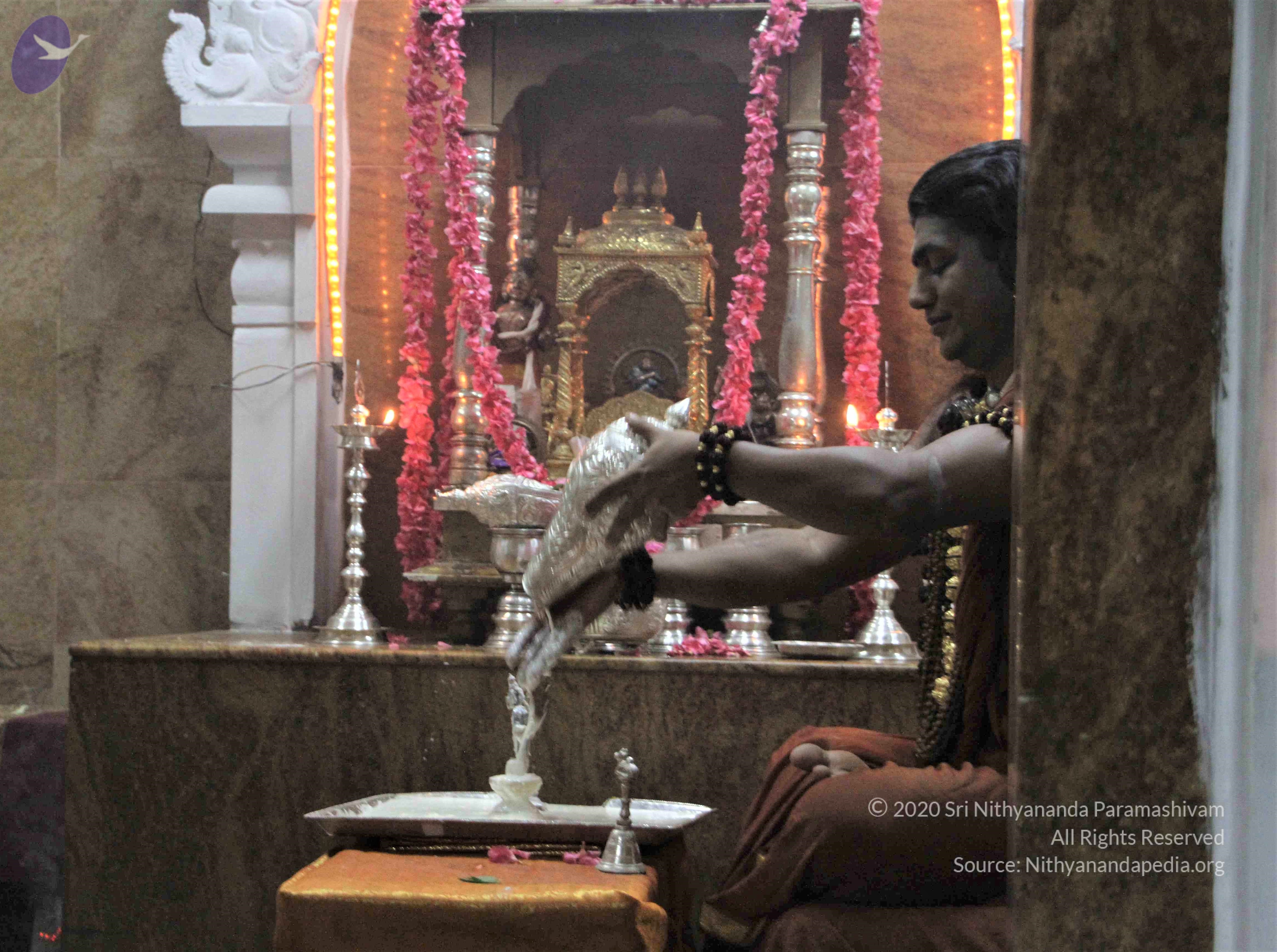 IMG_3255_CMP_WM(1) Done