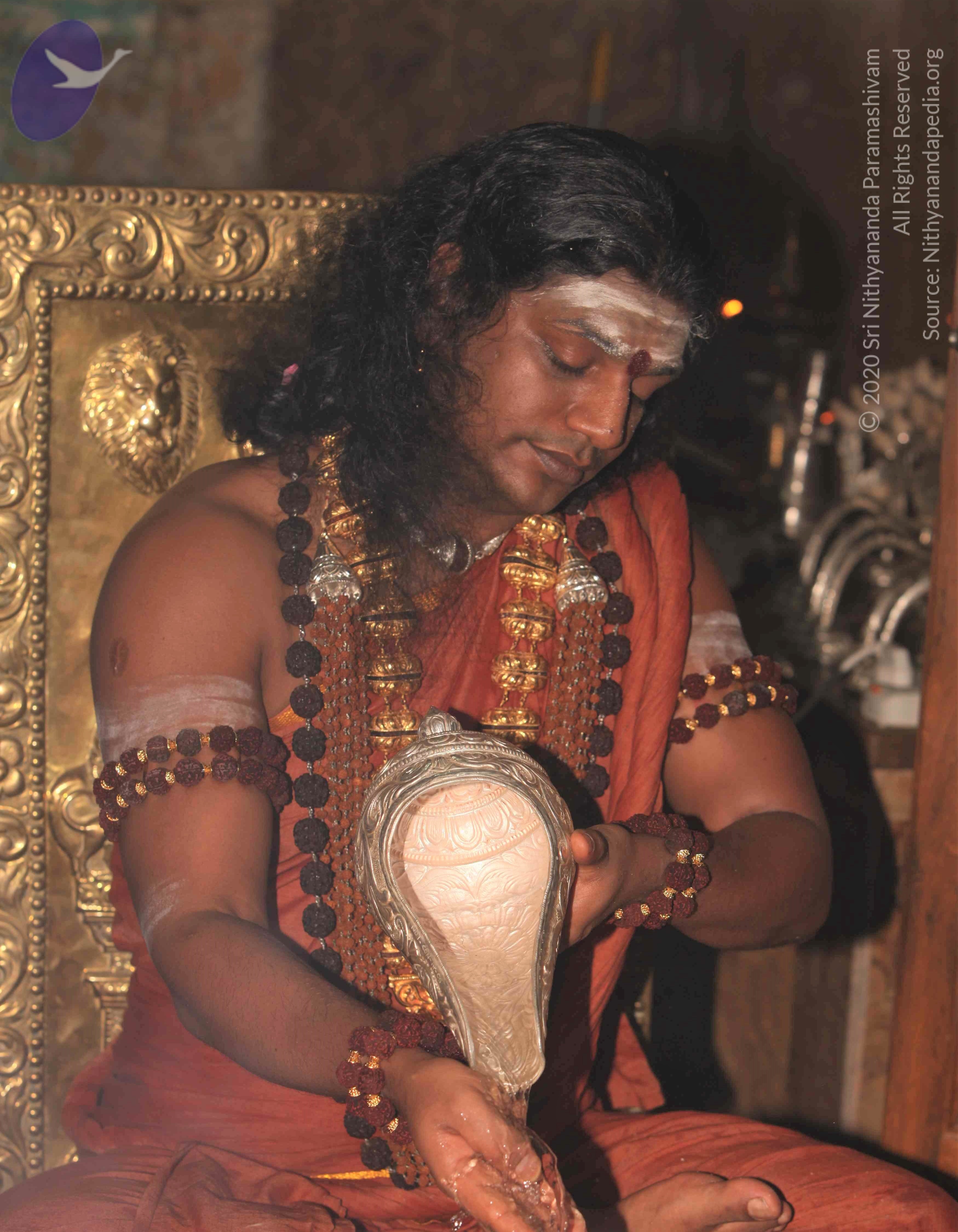 IMG_3392_CMP_WM Done