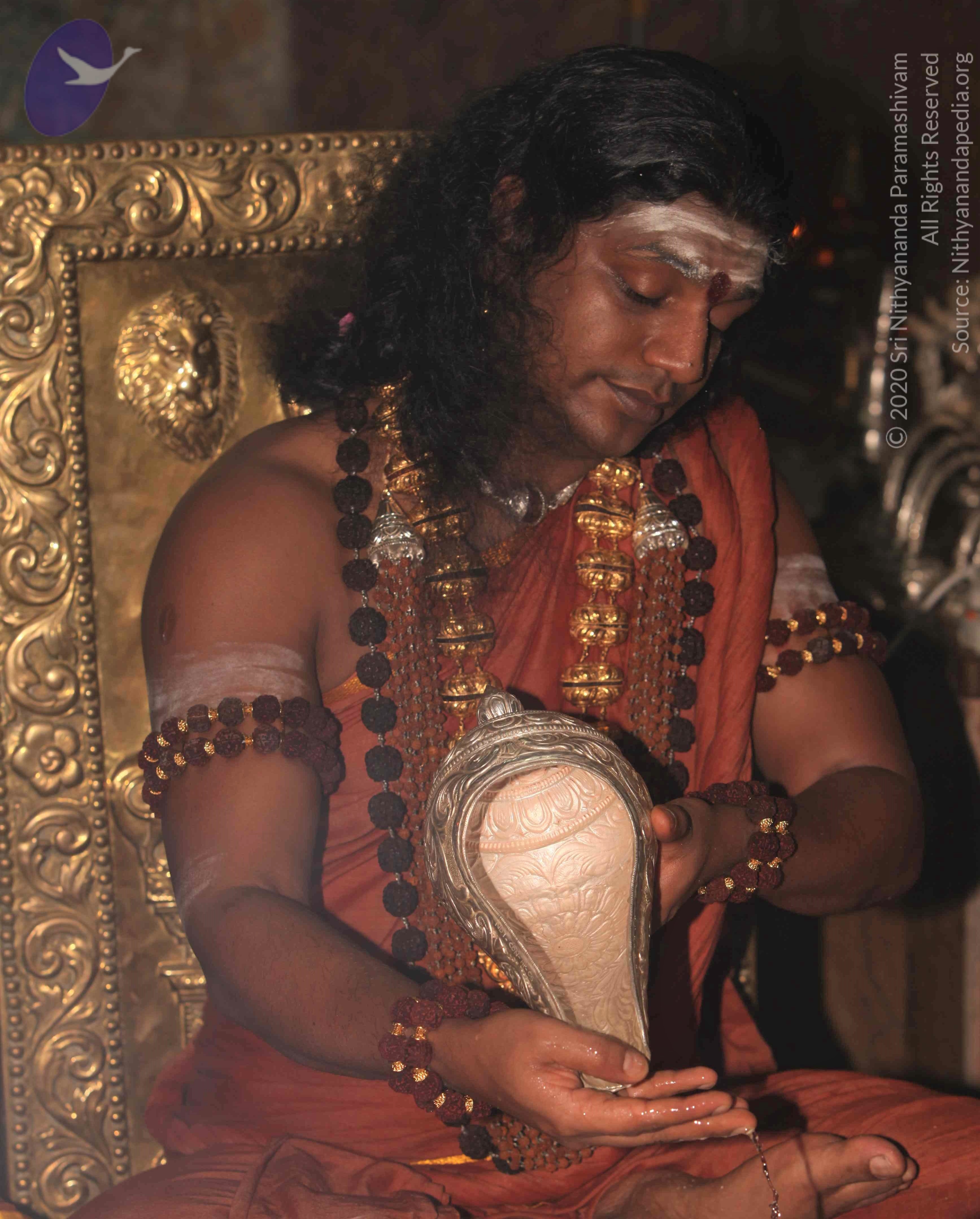 IMG_3393_CMP_WM Done