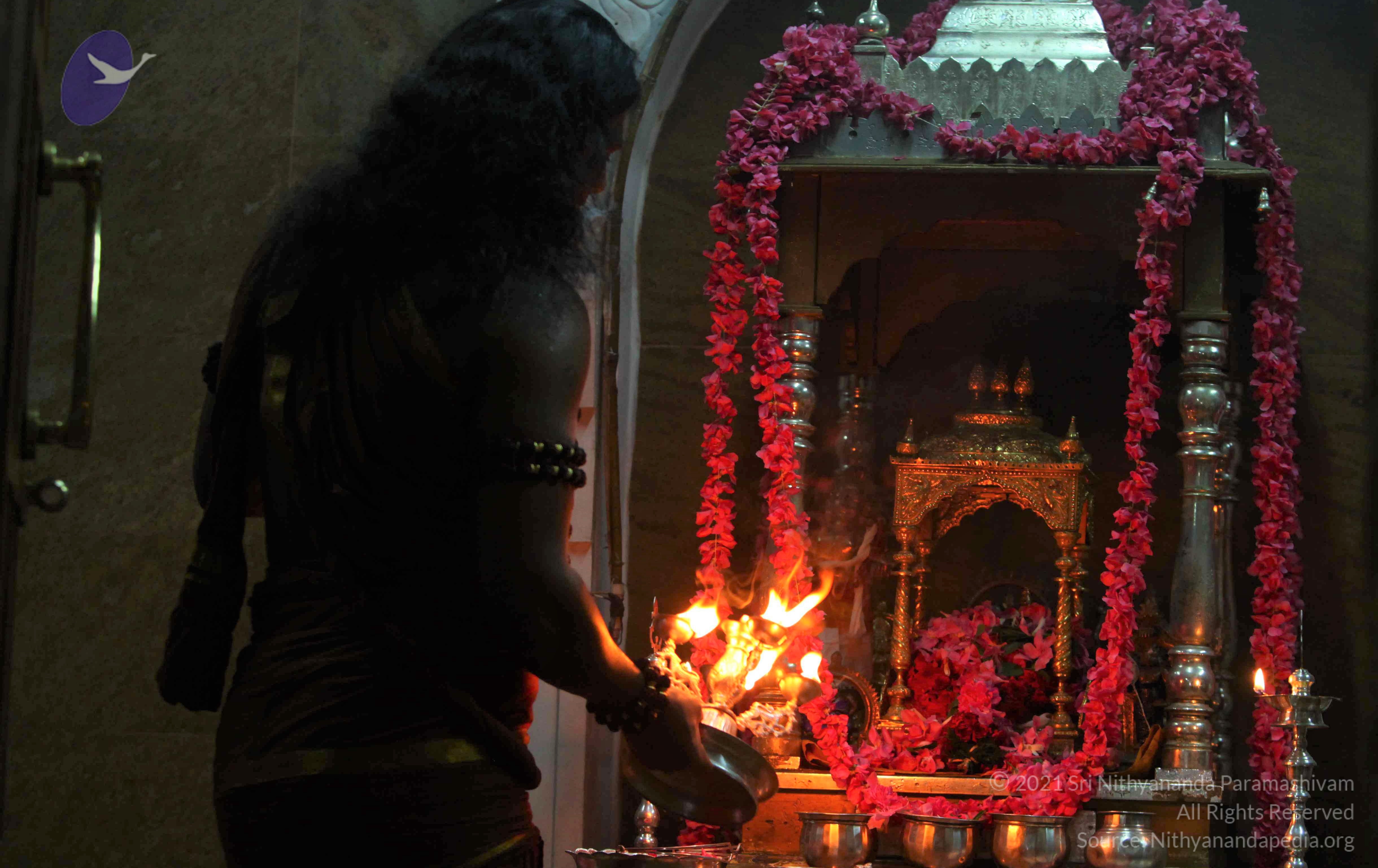 IMG_3443_CMP_WM Done