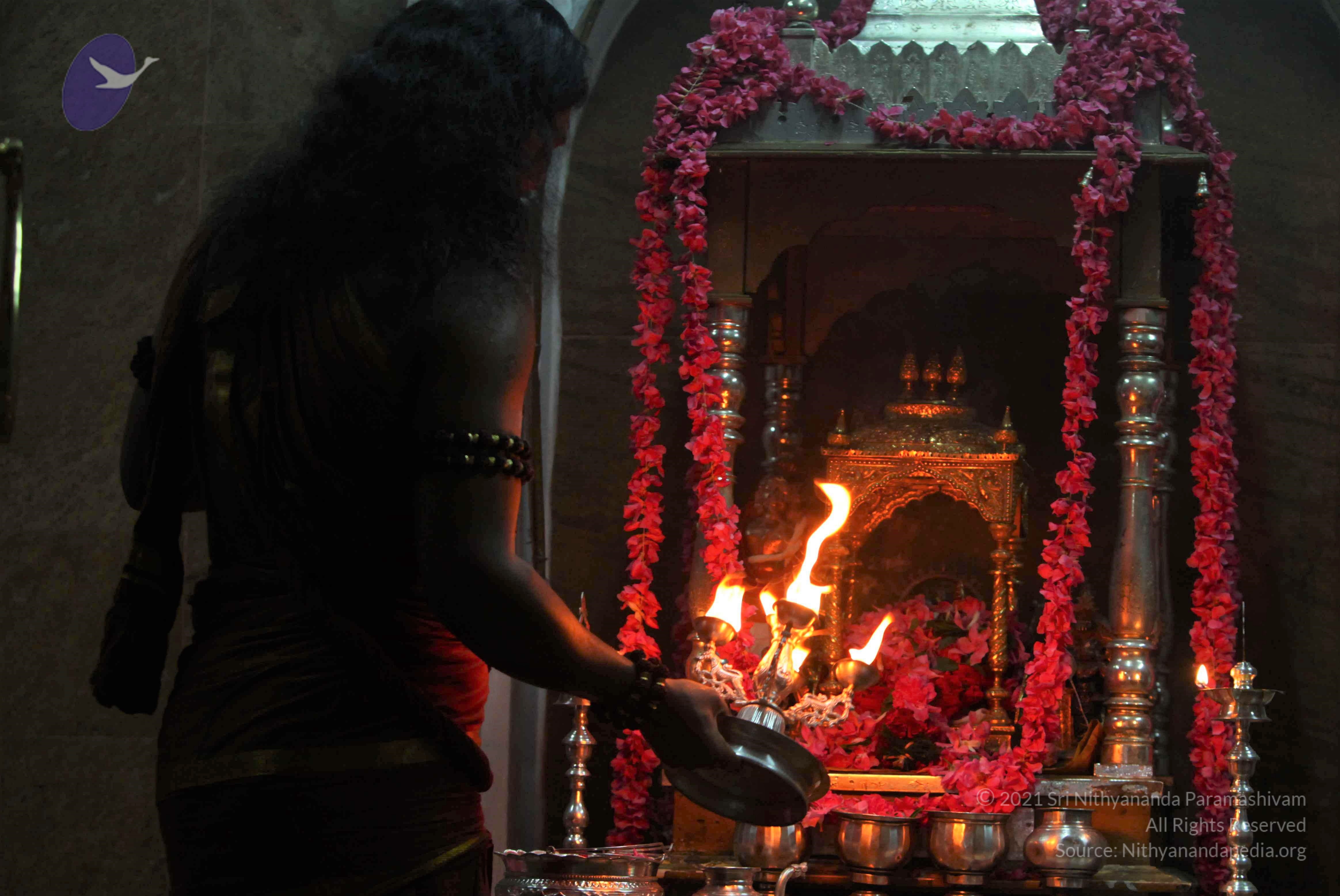 IMG_3444_CMP_WM Done