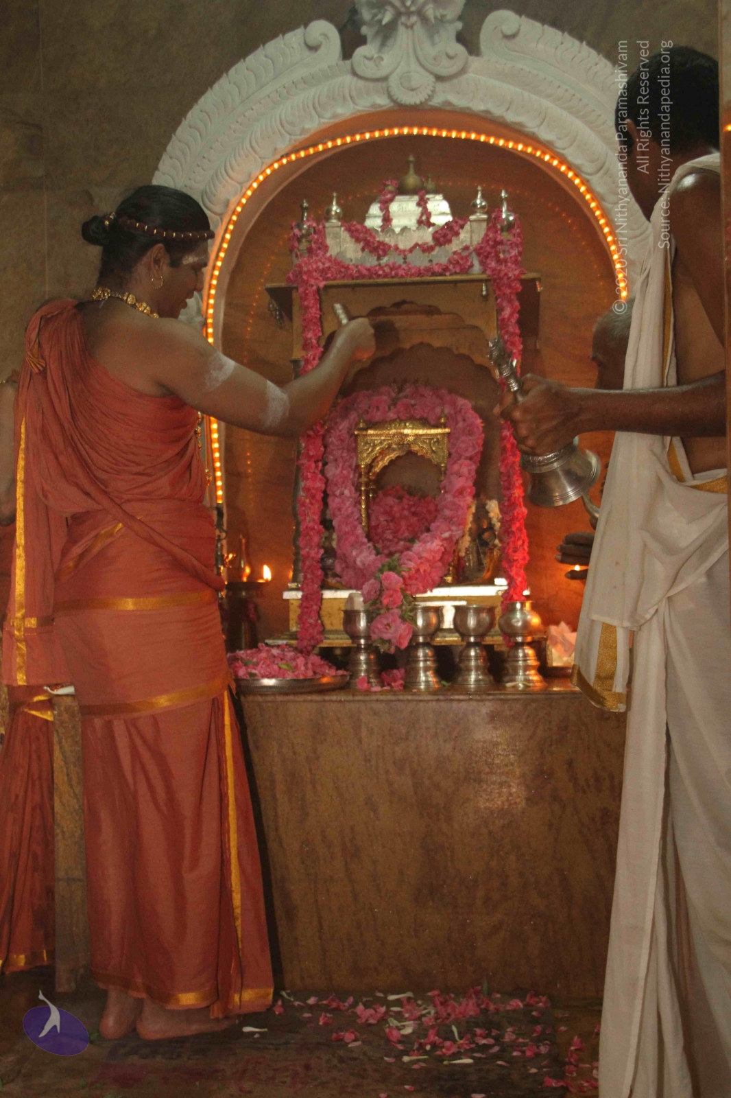 20120604_Photo_1005_IMG_5277_CMP_WM