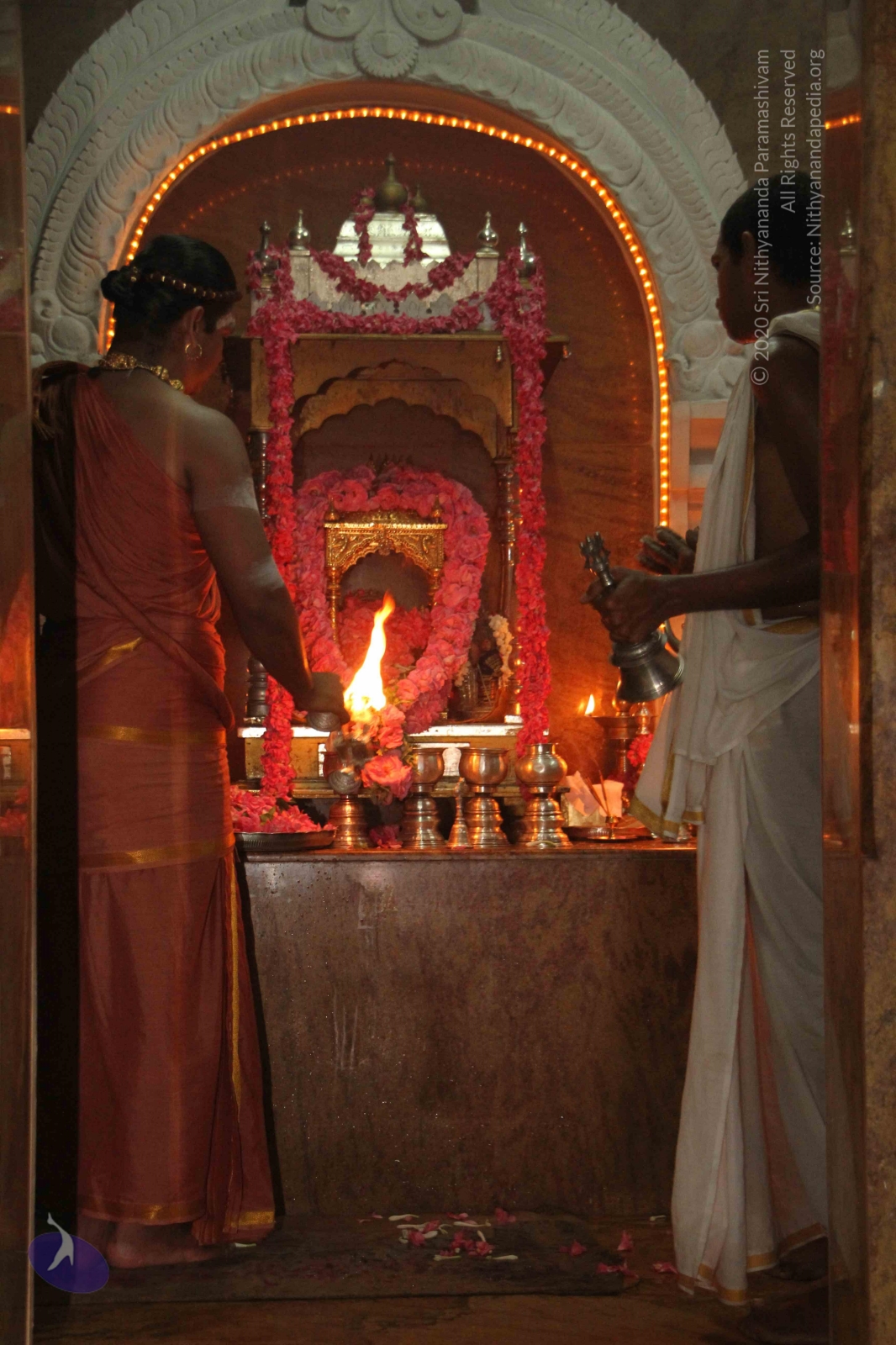 20120604_Photo_1030_IMG_5245_CMP_WM