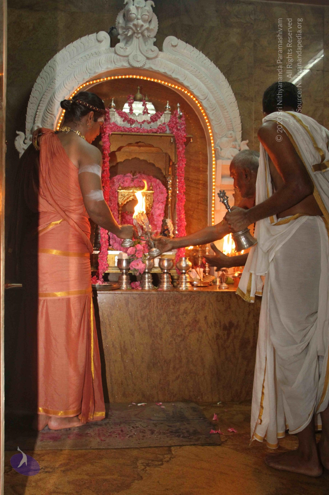 20120604_Photo_1034_IMG_5220_CMP_WM